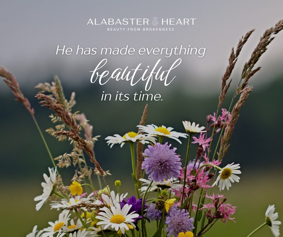 ✨ He Makes Everything Beautiful in His Time ✨
There are seasons in life where prayers seem unanswered, where we are “stuck” waiting in the land of the unknown, or the future feels uncertain. In those places, it’s easy to feel forgotten and wonder what God’s plan and purpose is in all of it is.
But Ecclesiastes 3:11 reminds us of a profound truth: “He has made everything beautiful in its time.”
🌿Not in our time.
🌿Not the timeline we would choose.
🌿But His.
God is the Master Artist, weaving every thread of our story into a masterpiece that often can’t be seen in the moment. Sometimes it’s years down the road and we can look back at the bigger picture to see how He was working it all out for our good.
What feels broken now can be restored. What feels delayed, may not feel like it in the moment, but in God’s economy is always for our good. What feels hidden is being cultivated and prepared beneath the surface.
🌿His timing is not late—it’s perfect.
🌿His process may feel slow, but it is sure.
🌿His ways are higher, His plans are good, and His promises remain true.
So if you’re in the waiting, hold on. The same God who set the seasons of the earth—spring, summer, fall, and winter—knows the seasons of your heart. And just as surely as winter gives way to spring, so too will this season shift in His perfect time.
🌸 Trust Him.
🌸 Rest in Him.
🌸 Keep walking by faith.
Because He will make all things beautiful in His time. 💗
Keep holding onto hope, sweet friend, and keep walking by faith, not by sight. (2 Corinthians 5:7)