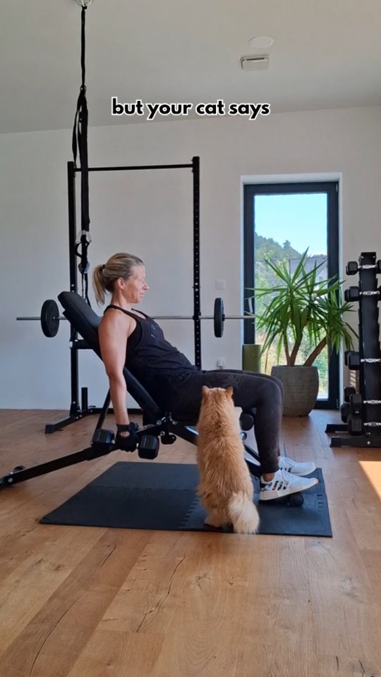 #vegancoach #cats_of_instagram #gymmotivation #catlife #fitnessmotivation
