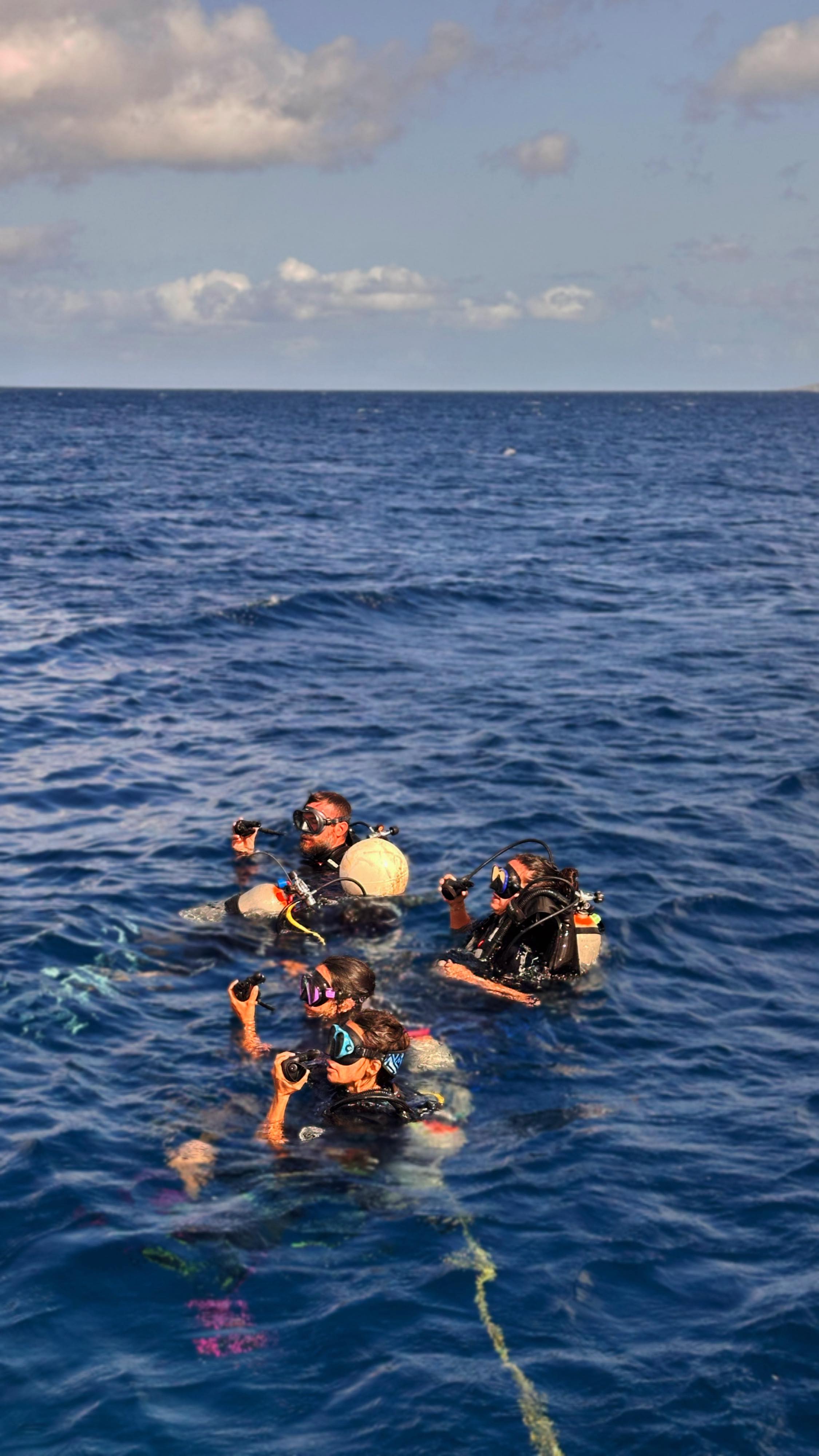 Bonaire is a diver’s paradise ?? … and there’s no better way to explore it than with the experts. Join BonaBoats in partnership with 4 Dive Master companies for unforgettable underwater adventures. Ready to dive in? Reserve your spot today! ?✨ #divebonaire
