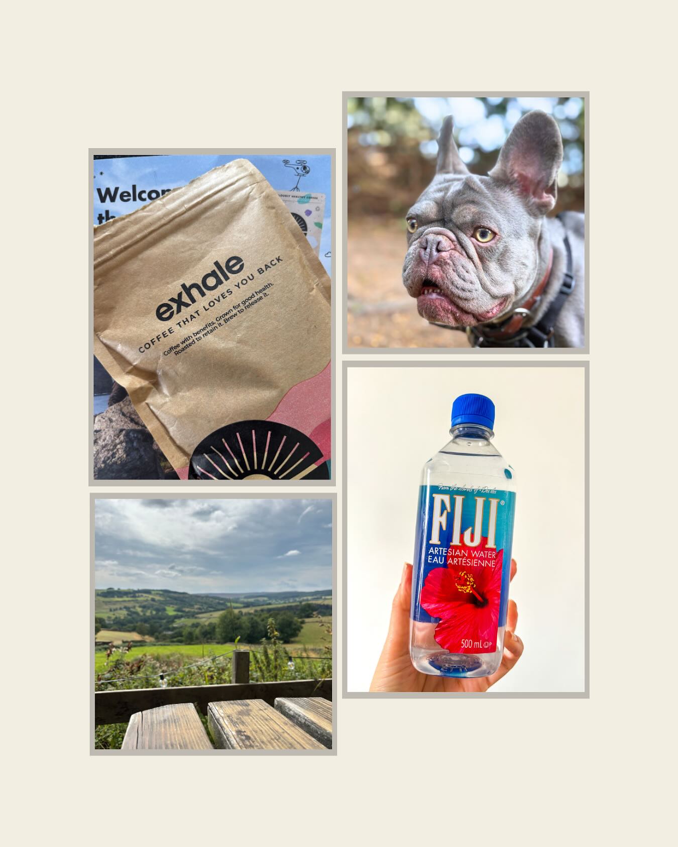 I seem to have taken an unintentional Instagram sabbatical!
How are you? Are you enjoying the cooler weather?
As summer cools and autumn creeps closer, here are a few things I’ve been loving lately:
☕️ @yourexhale coffee– organic with high levels of antioxidants & polyphenols (plus free from mould, pesticides & mycotoxins). It’s delicious!
💧 @fijiwateruk – naturally rich in silica, which helps the body clear out aluminium.
🥗 Lunches with a view – nothing beats good food in beautiful surroundings.
🐾 Walks with Bruno – always a favourite.
What are you loving?
Wishing you all a relaxing evening xx
#exhalecoffee #yourexhale #fijiwater