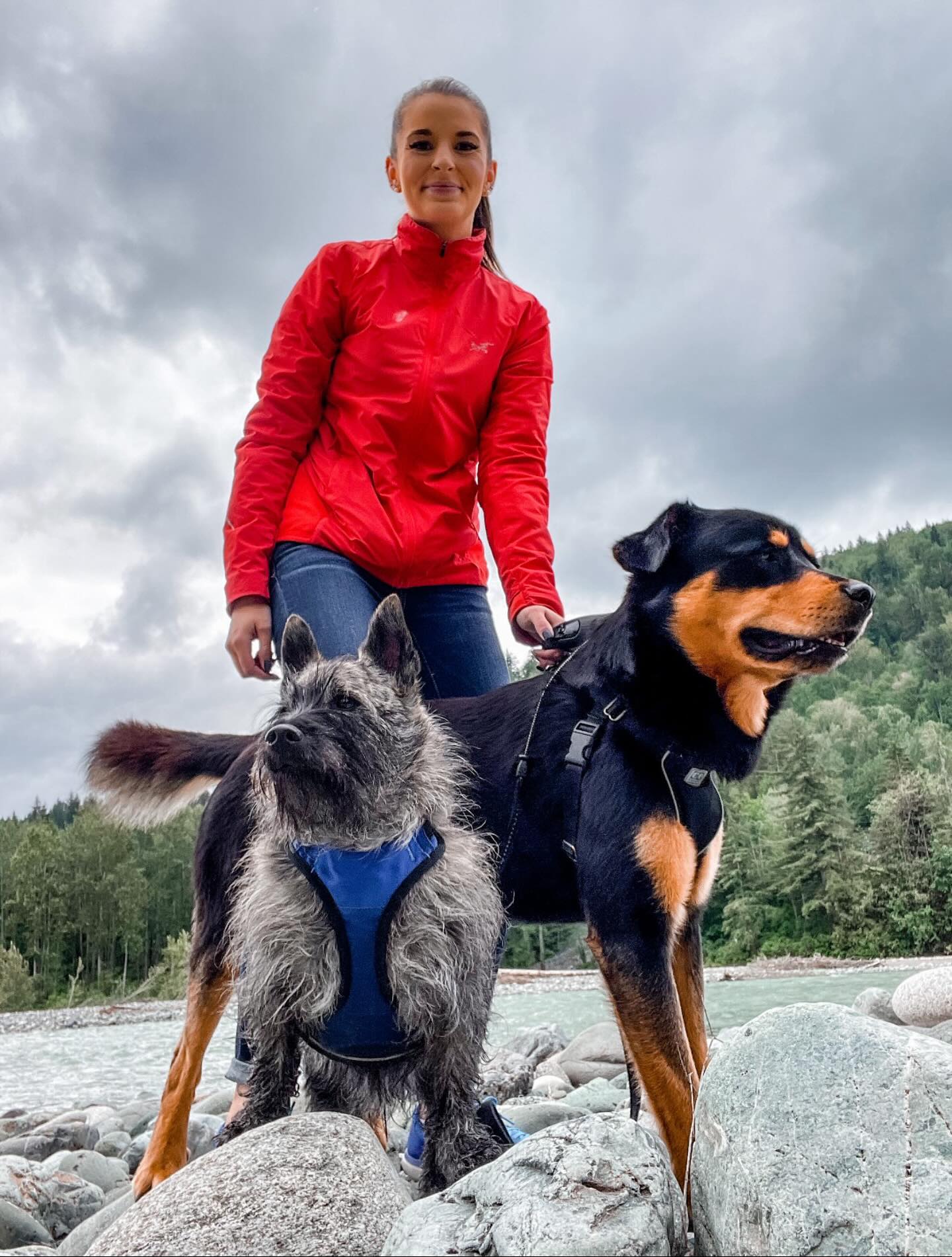 📸 Behind the Scenes at Railton & Co.
Hunter’s director of public relations 🐾.
Gizmo’s head of security 🐶.
Together? Absolute chaos coordinators.
Emails? Ignored. Snacks? Stolen. Deadlines? Negotiable.
But hey, at least morale is high. 😂
✨ Who else has a chaotic workday assistant? Drop a 🐾 below if you can relate!
#WorkdayWithDogs #OfficeAssistants #BehindTheScenes #DogsofInstagram #SmallBizLife #RailtonAndCo #westhighlandterrier #corgi #rotweiler #husky #cutecoworkers #socialmediamanager #onlinebusinessmanager