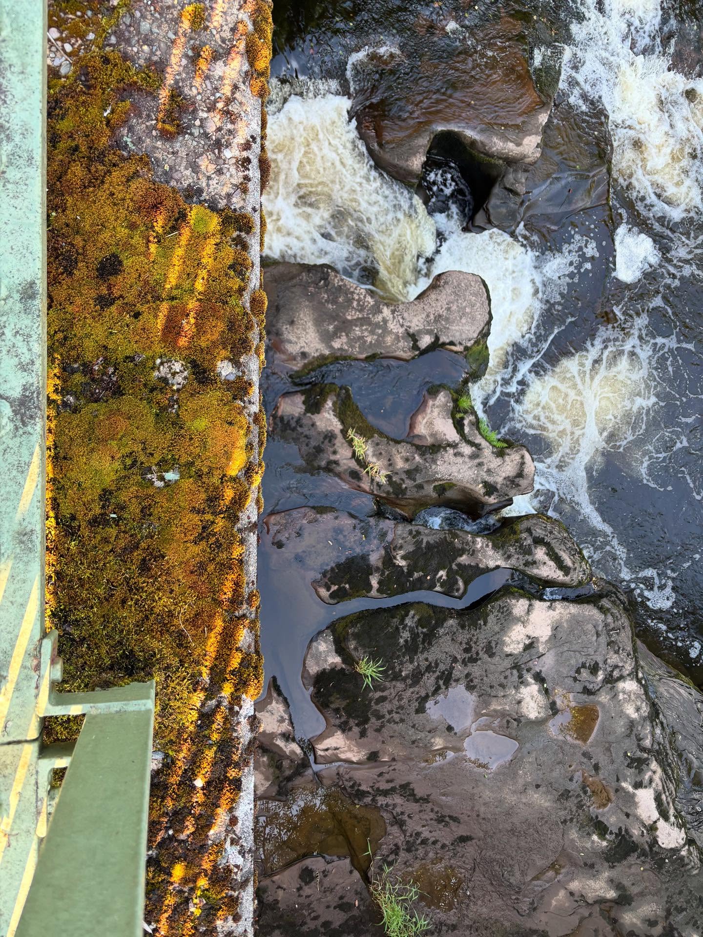 Summer inspiration - Gartness, Edinburgh & Killearn.