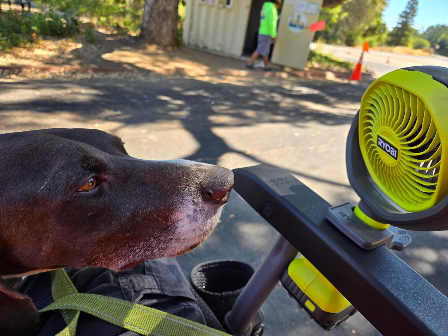 Captain Morgan at Lake Sonoma and Gilligan at Modesto Reservoir hope you all are staying cool this Labor Day holiday! Whatever your profession may be THANK YOU!