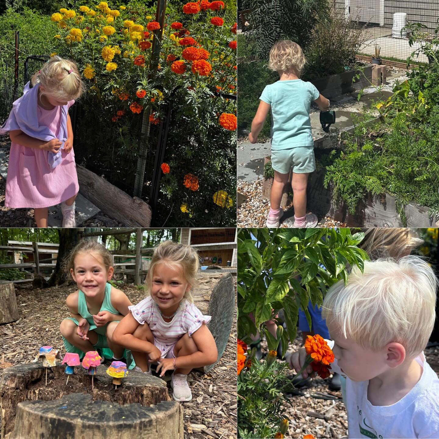 Can we just spend all our time in the gardens? ???????#darienct #dariennaturecenter