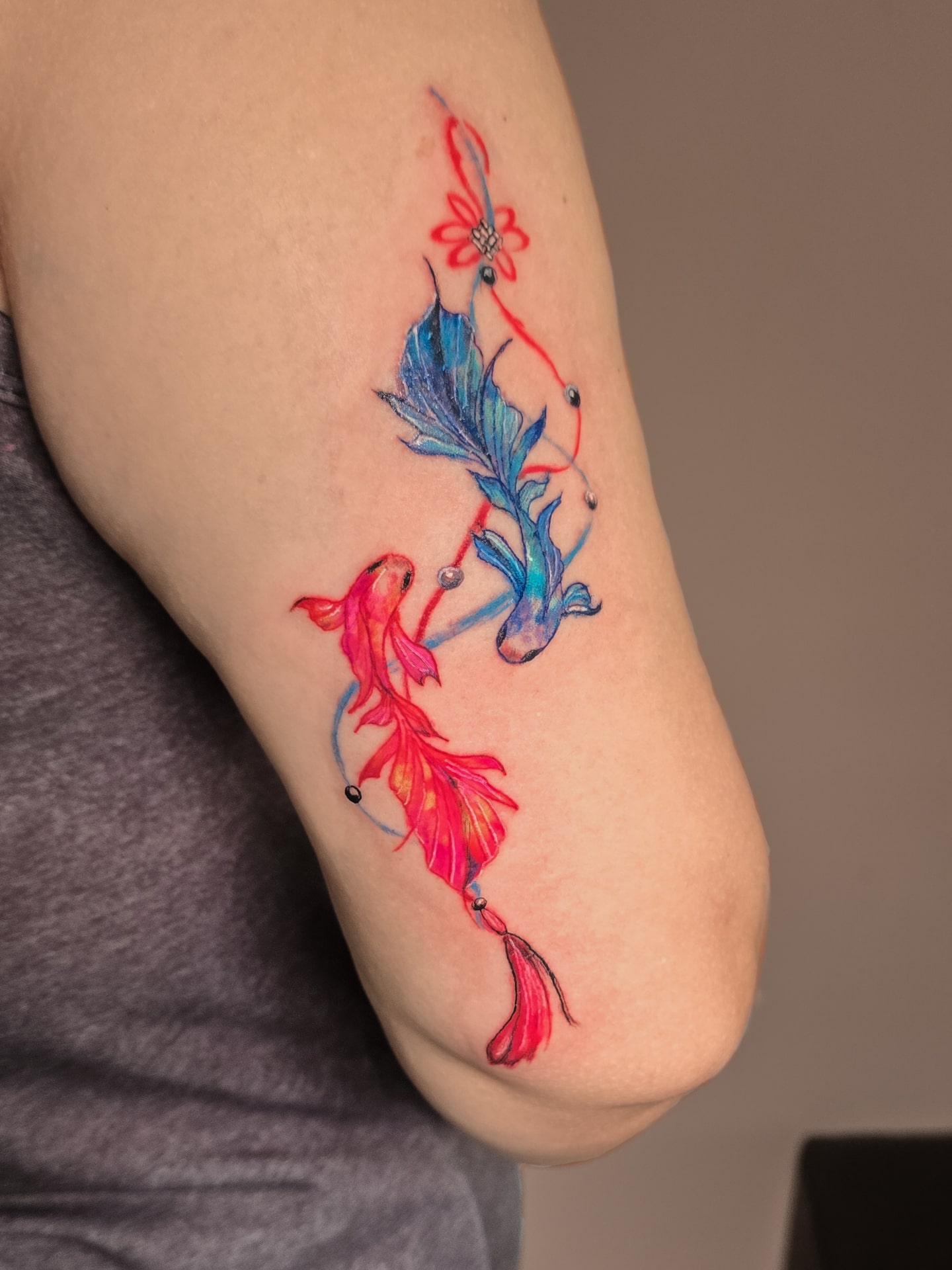 Um projecto muito colorido e delicado feito pela nossa artista @dami_tatts
#tattoo #tattooart #fish #fishtattoo #betafish #betatattoo #ink #inklife #inkmaster #tattooshop #inkfamily