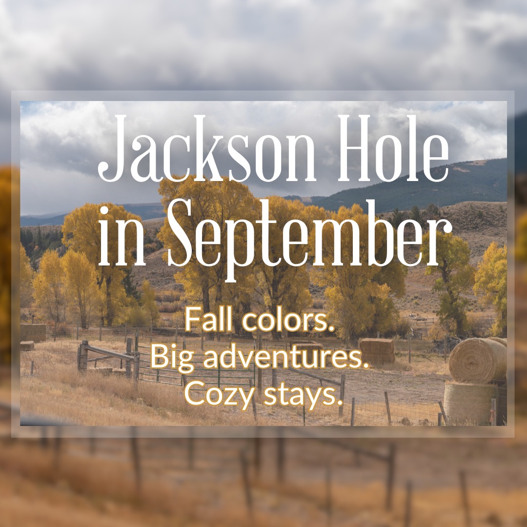 September is calling... and Jackson Hole is the answer!
Whether you're chasing golden leaves, wildlife sightings, or mountain views, Elk Refuge Inn is your perfect fall basecamp.
Ready to check Wyoming off your bucket list? Let the adventure begin.
Book now & save up to 20%: http://www.elkrefugeinn.net/book-now
? cttro
#ElkRefugeInn #FallInJacksonHole #BucketListTravel #NatureRetreat #SeptemberEscape #WyomingWanderlust #BookDirectAndSave