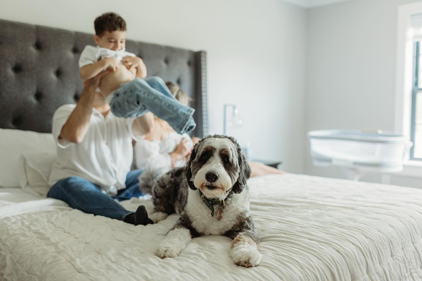 Nothing beats the mix of laughter, chaos, and endless snuggles. I wouldn’t have it any other way.
Booking into 2026
www.tinyheartsphotography.com
#njphotography
#njnewbornphotographer #njnewbornphotography
#njfamilyphotos
#newjerseyphotographer #newjerseyphotography #newjerseynewbornphotographer #newjerseynewbornphotography #bergencountyphotographer #bergencountyphotography #bergencountynewbornphotography #bergencountynewbornphotographer #newbornphotographer #newbornphotography
#northjerseymoms
#bergencountynjphotographer
#njbabyphotographer
#bergencountynj
#northernnjphotographer
#bergenmama
#bergeancountymoms
#northjerseyphotographer
#northernnj
#morriscountyphotographer
#passaiccountynewbornphotographer
#passaiccountymoms
#babyphotoshoot
#newbornsession