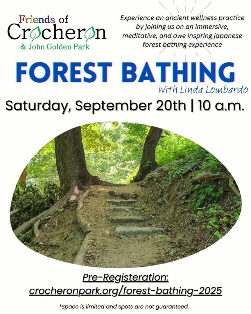 Looks like we have a couple spots left for Forest Bathing this weekend. Pre-register for this free event today!
#crocheronpark #nycparks #parksdontjusthappen #ourpark #queensny #nequeens #qnsnonprofits #parks #forestbathing