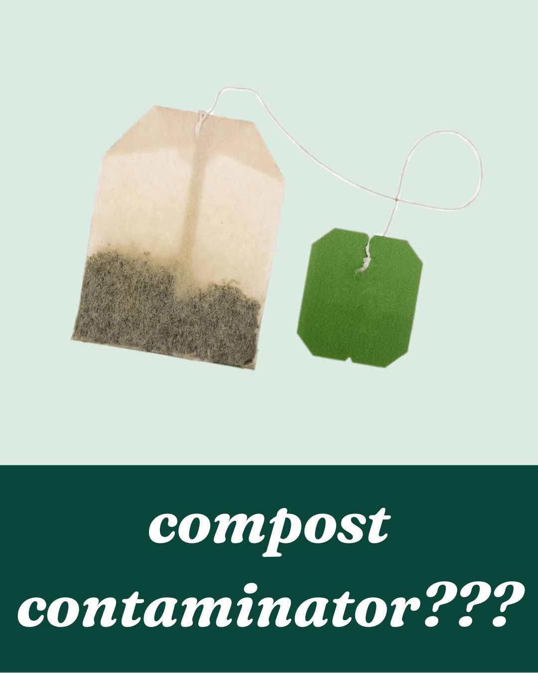 Tea time tip! Did you know some tea bags are hiding plastic? If it stretches, it’s plastic. If it rips like paper, you’re safe to compost. Watch out for sneaky staples and glue, too! When in doubt, compost the leaves and toss the bag. Even better, opt for a loose leaf tea. Spill the tea, not the plastic! 😃
#themoreyouknow #compostableornot #compost #sustainability #zerowaste #foodwaste #sustainableliving #teatime