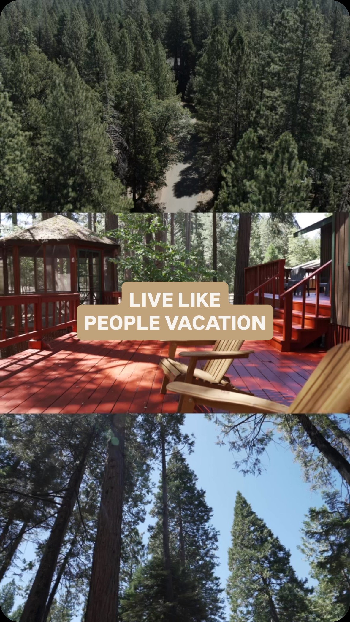 Mountain goers, outdoorsman, and lovers of all things chic, unite under this gorgeous roof in Shingletown, CA just minutes from Lassen National Park.
Itās a quaint neighborhood with stunning views and the feel of a private getaway all right at home. š²
Interested in a private tour?
Call me at 530-209-1649
Katie Luther Homes.Farms.Ranches.
EXP Realty DRE# 01821668.Ā Ā Katie@katieluther.com www.shastacountyrealtor.com
.
#californiaruralhomes #countrylivingdreams #smalltownluxury #lassenvolcanicnationalpark #norcalhomes #reddingrealestate #dreamhome #burneyfalls #explorenortherncalifornia