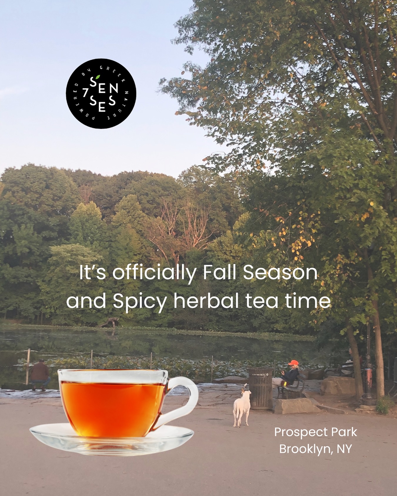 🍂 Fall is here, and so is spicy herbal tea season 🍵✨
There’s nothing like warming up with a cup of Seven Senses Organic blends on a crisp autumn walk.
🌿 100% organic herbs from Greece
🔥 Spicy, soothing, and full of wellness benefits
Picture inspired by @tutimelnik 📸
Where’s your favorite spot to sip tea in the fall? 🍁
#SevenSensesOrganic #FallTeaSeason #SpicyHerbalTea #OrganicWellness #BrooklynTeaLovers #GreekHerbs