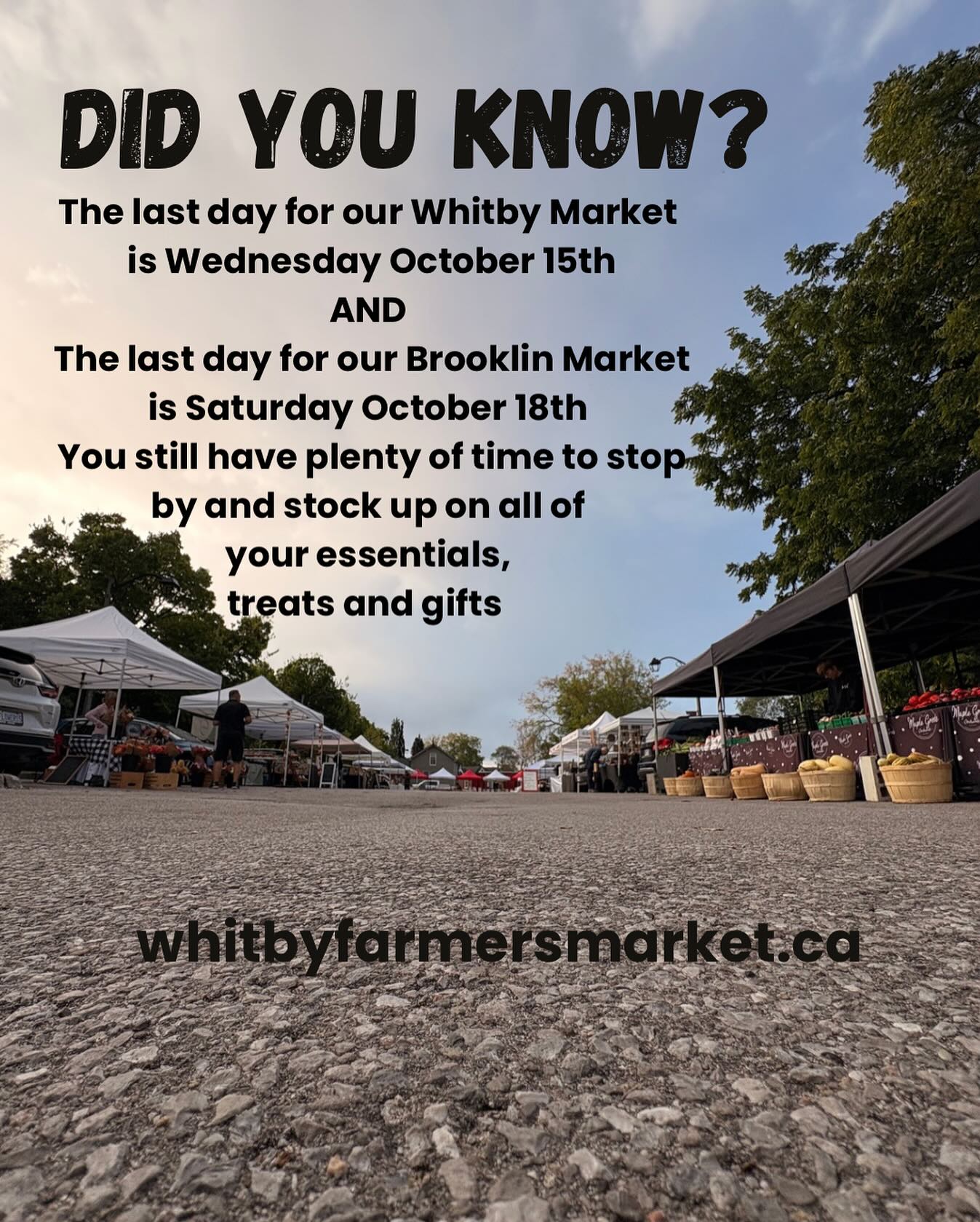 ✨Our final market day in Whitby is Wednesday October 15th and our final market day in Brooklin is Saturday October 18th. Be sure to join us for our last few weeks of the 2025 regular market season! Stock up on all of your essentials for Thanksgiving, chat with all of your favourite vendors and find out where to find them in the winter months too.
🎄We have two special Christmas and holiday markets on November 21st and 22nd. Watch for details about these because you don’t want to miss them!!
#whitbyfarmersmarket
#whitbyfarmersmarketinbrooklin
#supportsmallbusiness
#shoplocal
