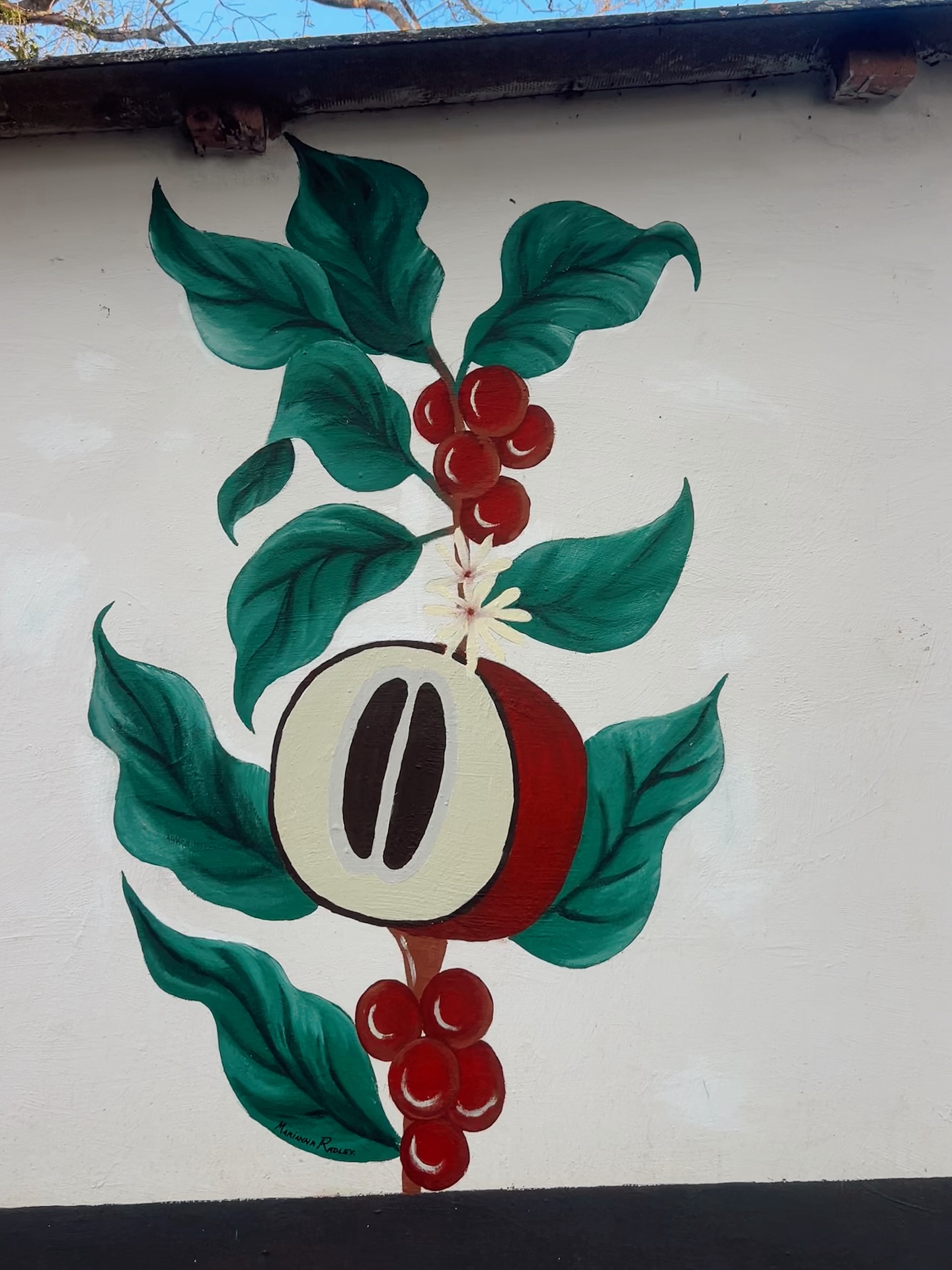 Forever appreciating the beauty of this mural and the even more beautiful heart behind it. Thank you friend, for blessing us with your gift. 🌿✨
#mural #friend #talent #beautiful #blessing #comeandsee #explore #tourism #kzn