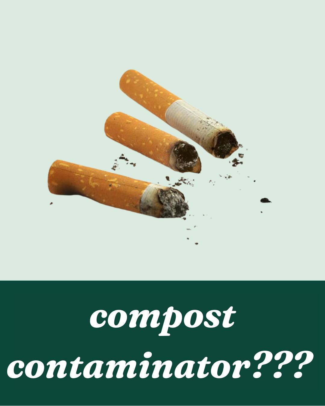 Are cigarettes compostable? They might look like paper, but their filters are made of plastic and contain chemicals that won’t break down, even in industrial compost! For the health of our soil and compost, it’s best to toss them in the trash instead of the compost pile. #themoreyouknow #compostableornot #compost #sustainability #zerowaste #foodwaste #sustainableliving #cigarette