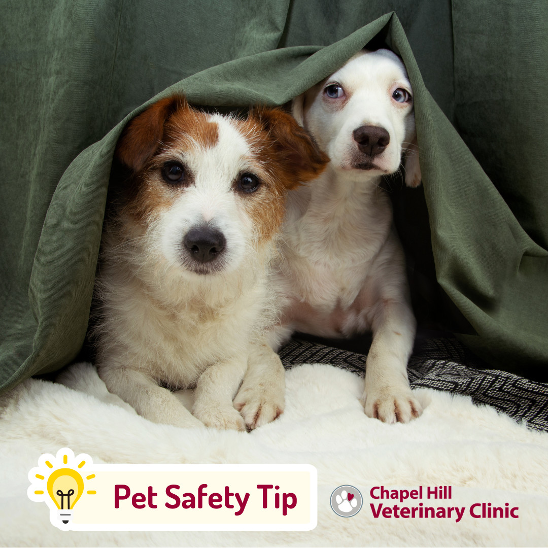 ๐ Fall storms can be just as sudden and intense as summer ones! โก๐ง๏ธ
If stormy weather is in the forecast, make sure your pet stays safe indoors. A quiet, cozy space, like a crate, a comfy bed, or a blanket-covered corner, can help them feel secure when the wind and thunder get loud. ๐พโค๏ธ