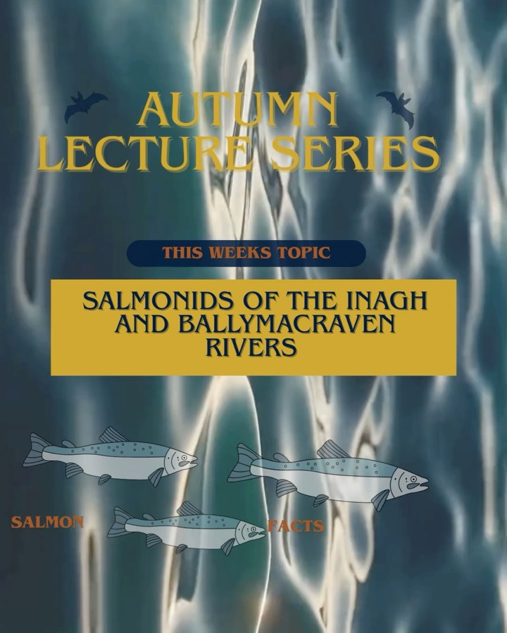 This Tuesday we have Bill Keane, the local fisheries officer from @inlandfisheriesireland speaking on Salmonids of the Inagh and Ballymacraven Rivers.
Get your free tickets through Eventbrite, link in our bio.
🐟 Everyone and anyone is invited to join 🐟