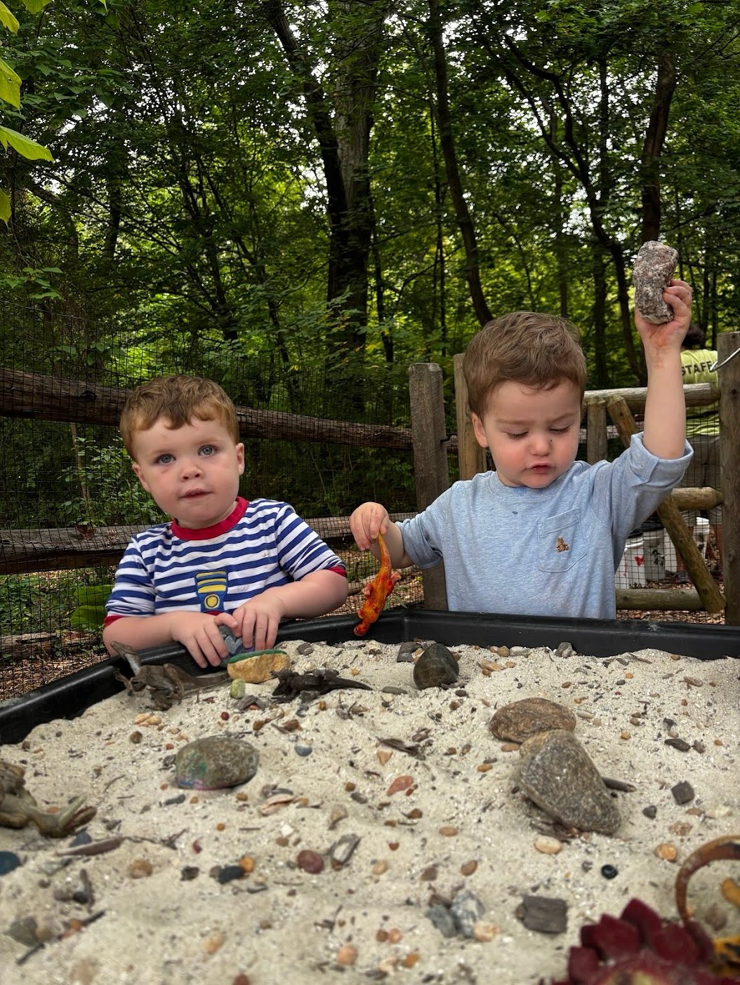 it sure is “gneiss” learning about rocks and soil! ???? #darienct #dariennaturecenter