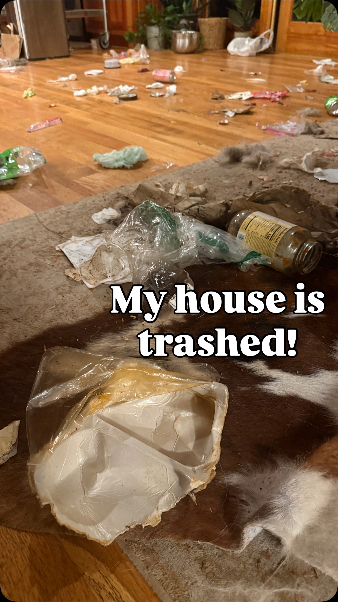 Me: Iāll be nice and let them stay inside so the house stays clean.
My dogs: What if we shredded the ENTIRE trash bag and redecorated the living room instead? š¶šļøš. One of our first rainy days š§ļøā¦ so I thought I was being nice keeping the dogs inside to avoid muddy paws. I cleaned the floors, mopped, vacuumed, felt so proud⦠and then came home to find they DESTROYED my plan. š¶šļøš #SendHelp