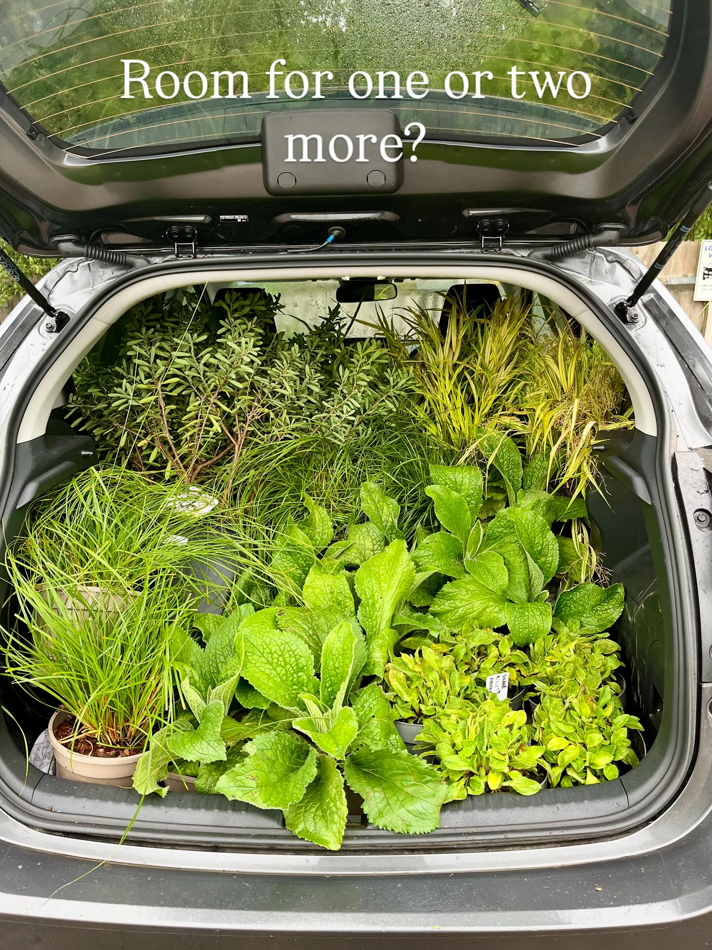 Who doesn’t love a visit to a plant nursery?