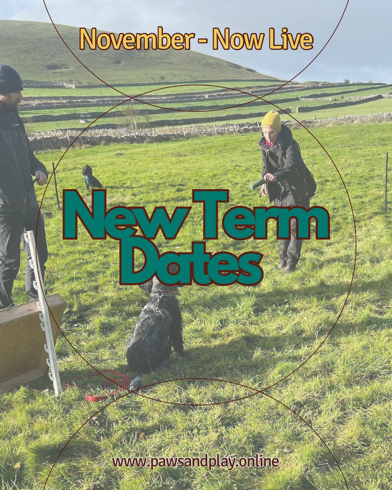 November term Dates are Now Live! ?
? Our final term dates for 2025 are now live in Holmesfield, Sheffield, and Wardlow, Bakewell.
https://www.pawsandplay.online/courses
Unleash your pet’s potential and deepen your bond through positive gundog training methods in an outdoor, private & enclosed training ground.
? Gundog Puppy - Start as you mean to go
? Lead Work & Recall - For that little extra focus
? Pet Gundog Foundations - Gundog for total Beginners
? Beginner Gundog
? Intermediate Gundog
? Proficient Gundog
? Advanced Gundog
? Join us for an enriching experience tailored for both pet & working Gundogs!
If you would like to book a space on one of our courses, get in touch or book directly:
✉️ pawsandplay1@gmail.com
? 07871 594529
? https://www.pawsandplay.online/courses
FB - Paws and Play Gundogs
Instagram - @pawsandplaygundogs
.
.
.
#pawsandplaygundogs #petgundogtraining #gundogtraining #sheffieldgundogs #sheffieldgundogtraining #gundogtrainingtips #onlinegundogtraining #gundogpuppy #puppyclasses #peakdistrictdogs #buxtonbusiness #highpeakdogs #gundogsintraining #onlinepuppytraining #dogtraining #labrador #cockerspaniel #springerspaniel #positivegundogtraining #onlinedogtraining #puppytraining #puppytrainer #sheffielddogtraining #gundogtrainingtips
#accreditedpetgundogtraining #petgundog #sheffielddogs #sheffieldbusiness #peakdistrictbusiness #gundogjourney