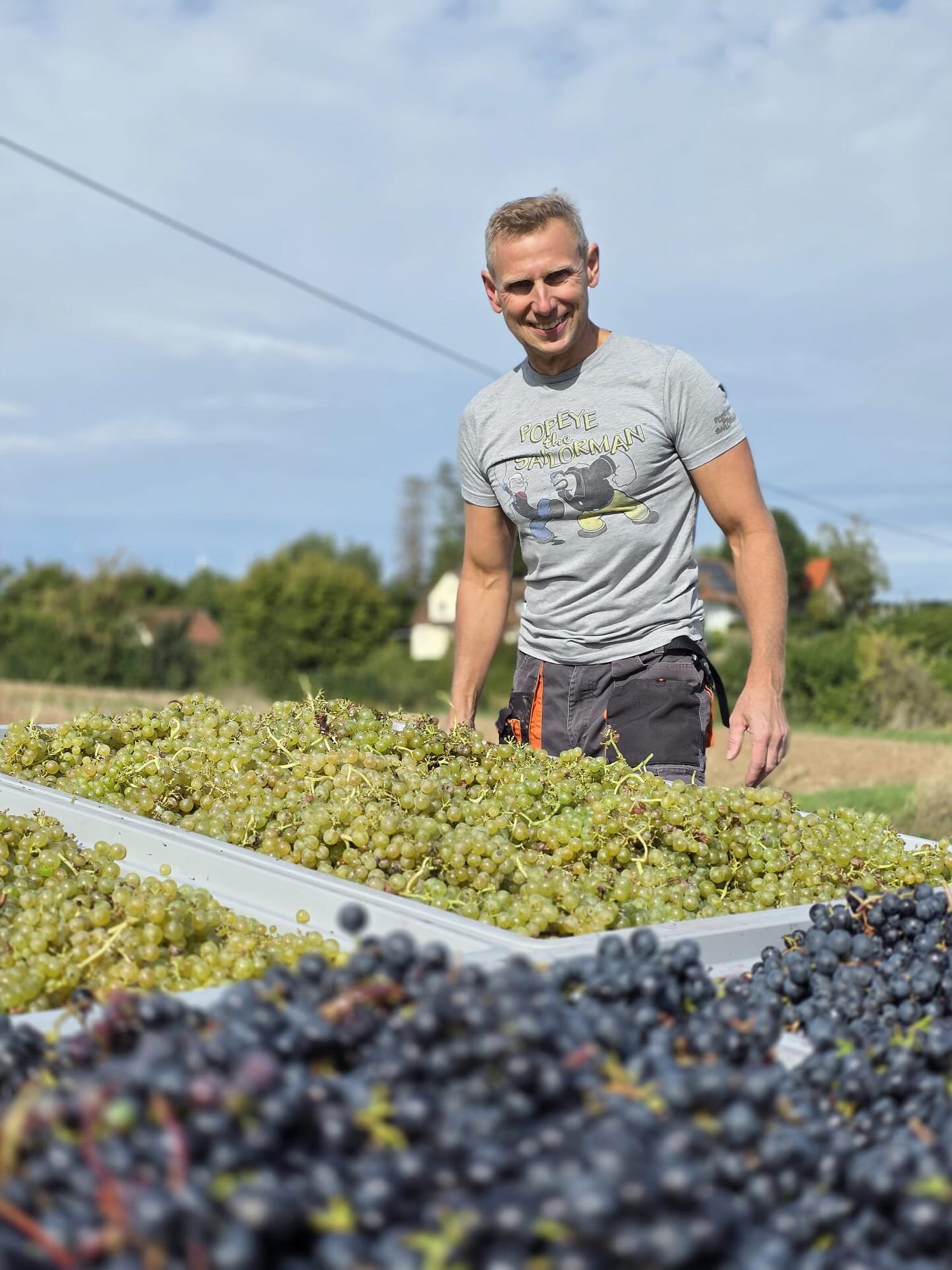 🍇 Lese 2025 – zwei Samstage voller Einsatz
Was für ein Jahrgang! Sonne, Schweiß und richtig gute Stimmung. An zwei Wochenenden im September haben wir gelesen – konzentriert, von Hand und mit viel Leidenschaft. Nur so entstehen die Weine, die wir uns wünschen: klar, charakterstark und mit echtem Handwerk im Glas.
Ein großes Dankeschön an alle Helferinnen und Helfer – ohne euch geht’s nicht! ❤️
Jetzt darf der Most zeigen, was in ihm steckt.
Neuer Blog: https://www.drei-lagen-wein.de/post/von-hand-gelesen-und-mit-herz-gemacht-unser-speed-herbst-2025
#weinlese2025 #dreilagenwein #frankenwein #teamwork #weinliebe #VonHandGelesen #silvaner #scheurebe #dornfelder #müllerthurgau