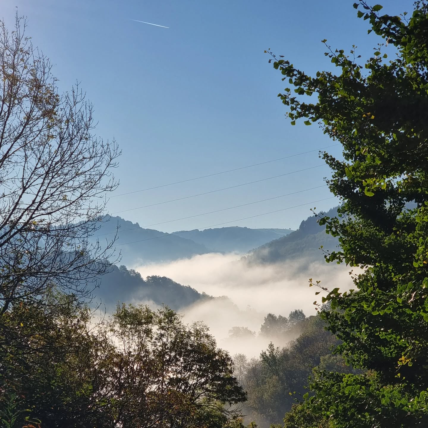 The view from my window this morning :-)
Any advise on how to take a better photo would be great, this was taken with a Samsung 21s ultra using 3x optical zoom.