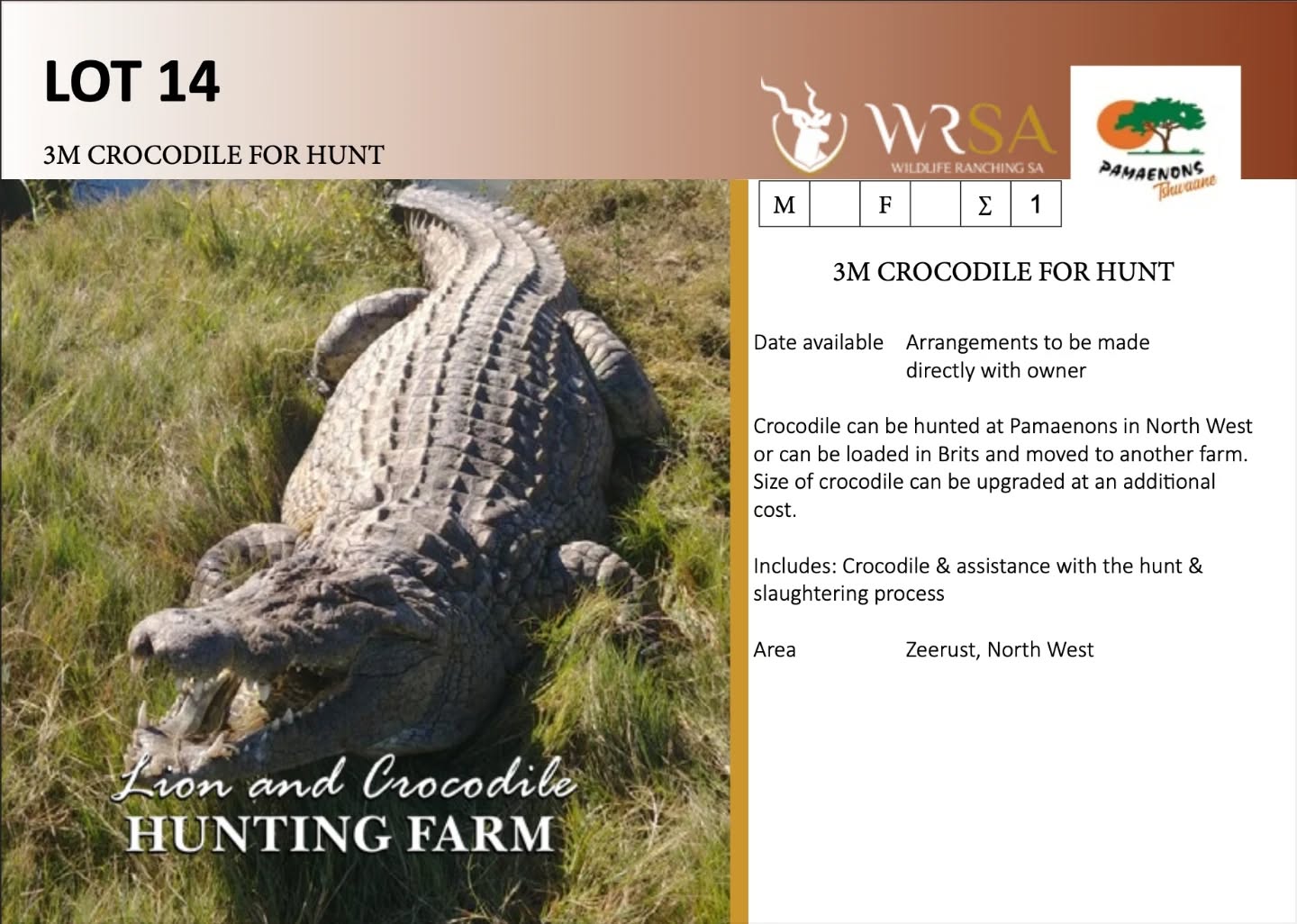 🦏The WRSA Live Fundraising Auction is here!
We're excited to present the last 13 lots of the Live Auction Lots!
Join us for an unforgettable evening at the 2025 WRSA Gala Dinner, Awards Ceremony and Fundraising Auction as 26 exceptional lots go under the hammer - from exclusive outdoor and hunting experiences to one-of-a-kind collector’s items.
🗓 Live Auction: Saturday, 18 October 2025
🕗 Time: 20:00
📍 Venue: CSIR, Meiring Naudé Road, Lynnwood, Pretoria
Online bidding opened: 08:00, Thursday, 16 October 2025
🔗Browse the lots for the Live Auction, and register to bid here: https://wildswinkelonline.co.za/Auctions/Auction.aspx?AuctionID=5751
🔗Browse the lots for the Timed Auction, and register to bid here: https://bit.ly/WRSATimed2025_Reg
For more information, contact:
📞 JP Smith @ +27 (0)82 417 8826
🐃Support the future of wildlife ranching in South Africa!