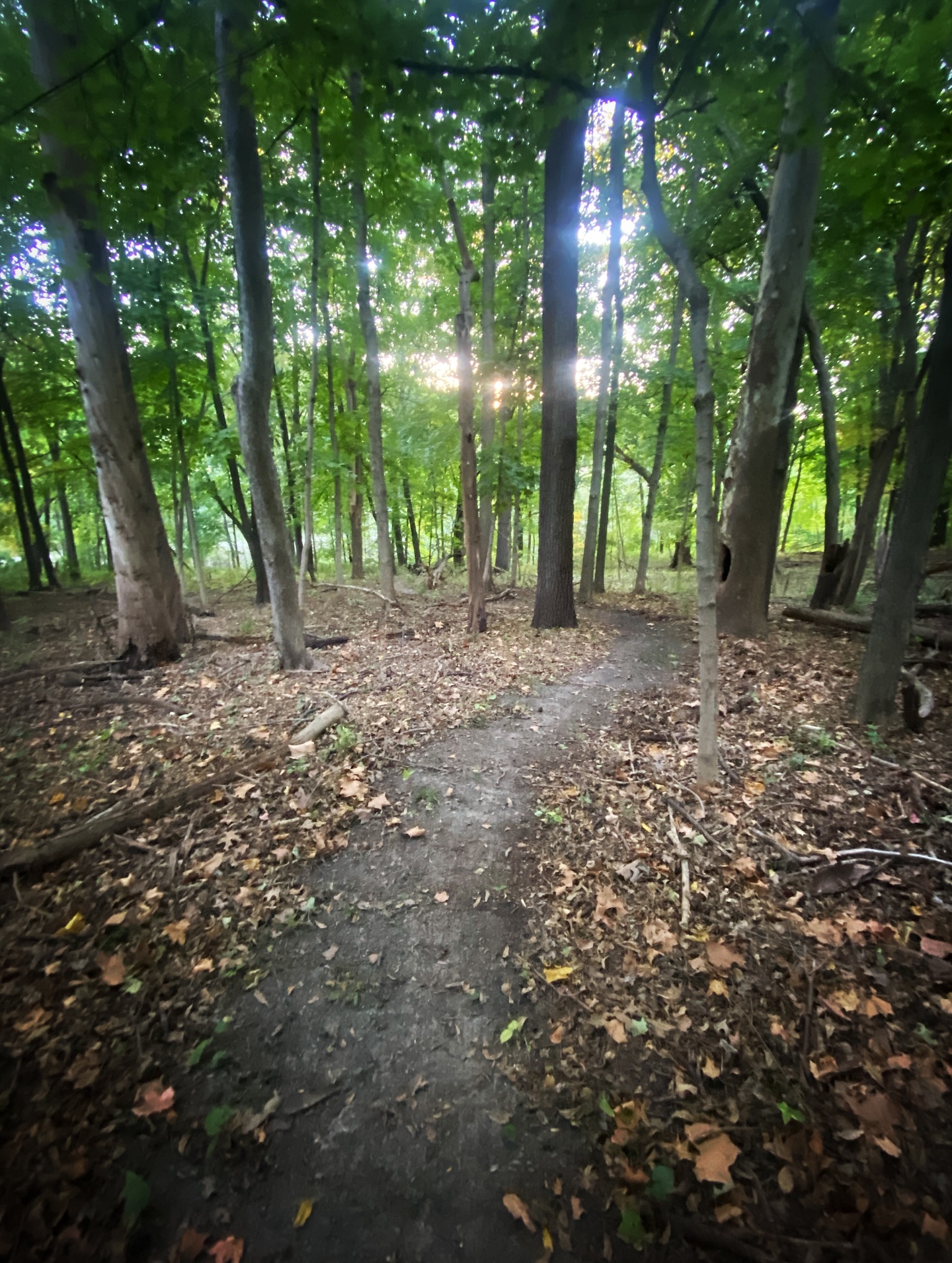 Chances are you haven’t ridden this trail, but join us Wednesday and we will show you where it is, along with plenty other hidden gems. This week we’re kicking off our Fall/Winter riding calendar with our Urban Adventure Ride #1. We will be taking riders on a 20 mile tour through some of Iowa City’s urban byways and bandit trails. This ride includes some fairly technical sections so we strongly encourage mountain bikes or fat bikes. This ride is not no drop but it will be at a reasonable pace with frequent regroups. Check our website for the route, and if you’ve got the Strava please RSVP in our club event so we know how many to expect! Hope to see you on Wednesday!
.
.
.
.
#sugarbottombikes #sugarbottom #northliberty #northlibertyiowa #coralville #coralvilleiowa #cedarrapids #cedarrapidsiowa #iowacity #iowacityiowa #solon #soloniowa #iowabike #iowacycling #bikeiowa #bikeiowacity #onlyiniowa
@bikeiowacity