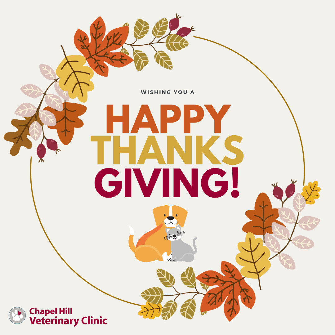 We wish you and your furry family members a joyful, safe, and cozy holiday. ๐ถ๐ฑ