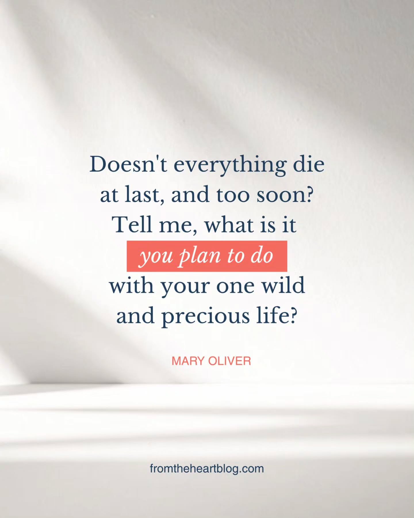 Each of us is a biological masterpiece created by 3.8 billion years of churning evolution. We are the pinnacle of life on planet Earth, and now is our moment in the sun. The human mind, at least for now, is the most complex and astounding thing in the known universe. Every second trillions of chemical reactions are going on throughout our body that keep us humming along amazingly well, all in a self-contained marvel of biology.
Yuval Noah Harari says that after .5 million years of hominin evolution via natural selection, we are likely one of the last generations of Homo sapiens. With the power of genetic engineering via CRISPER, and the rise of AI, a new race of super-humans/cyborgs will emerge in the next century. But now is arguably the very best time ever to be alive as a human. We have unlimited opportunities to learn, explore, travel and enjoy our life with our family and friends, and we still have our priceless freedom. Planet Earth, though under siege, is still an oasis in space that is our nurturing and awe-inspiring ancestral Home.
An old Scottish proverb says, “Be sure to live your life, because you are a long time dead”.
As Mary Oliver wrote, “Doesn't everything die at last, and too soon? Tell me, what is it you plan to do with your one wild and precious life?