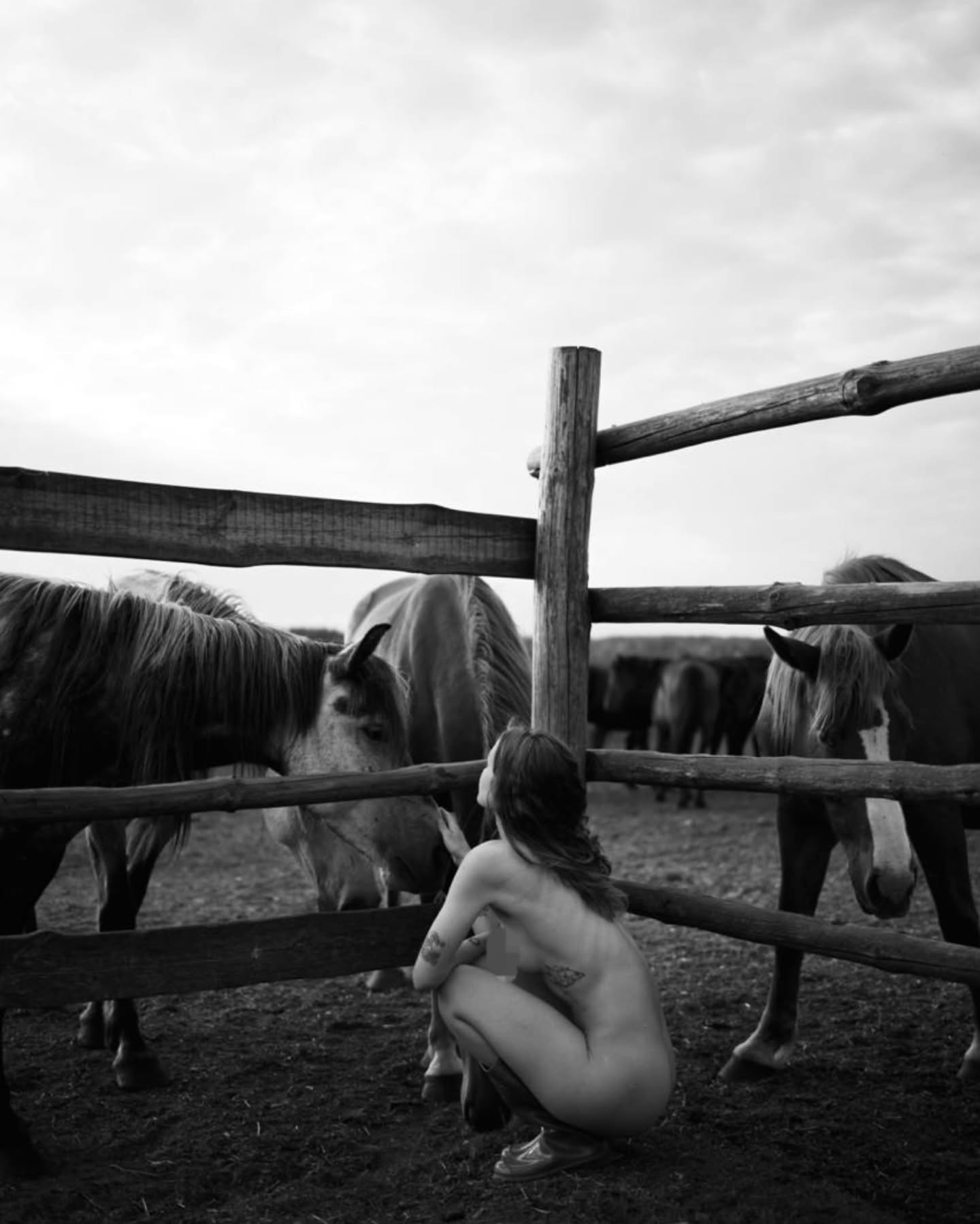 Boudoir Photoshoot...
Siempre que han visto estas fotos me preguntan, de como se hizo todo. Los dejare pensando un poco mas...
Para mas informacion de precios y paquetes, envia tu mensaje 🙌