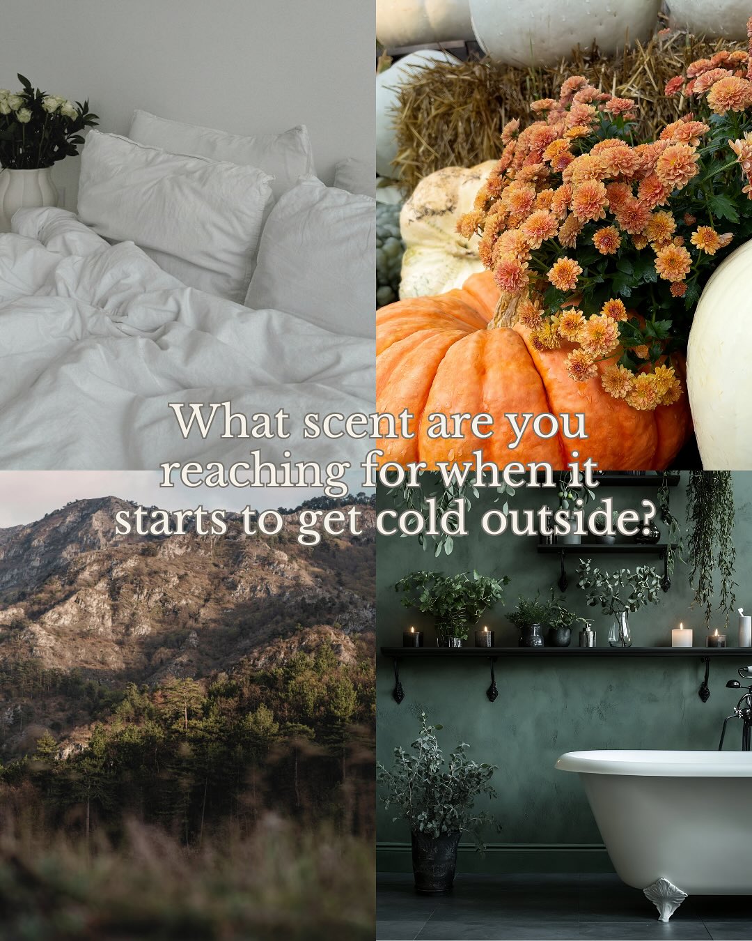 When the chill hits, what scent do you reach for? 🍂
.
.
.
.