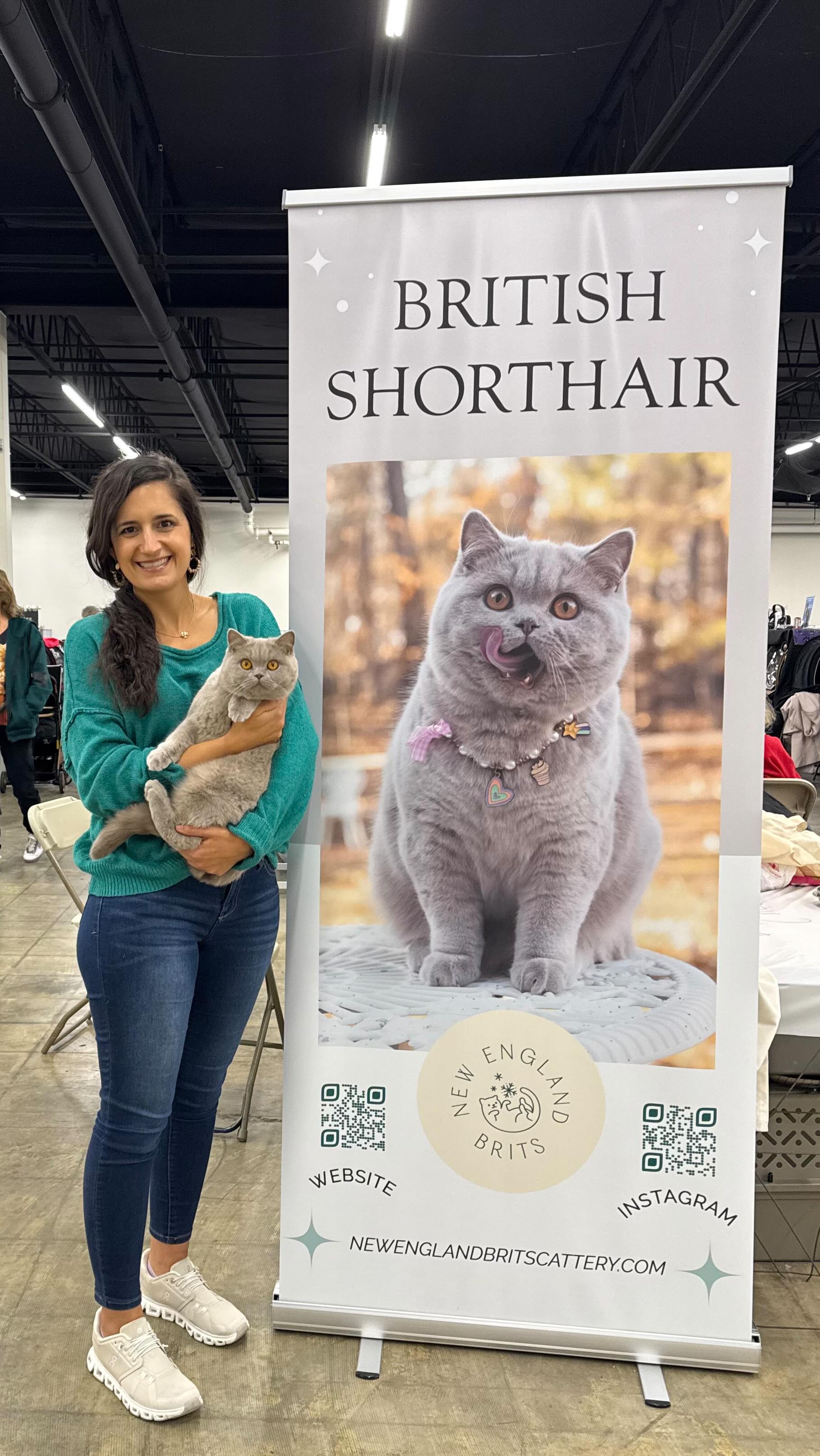 Pennsylvania cat show wrapping up. The cats showed beautifully and were so well behaved. Lila had lots of fun with the other girls at the show. 🥰