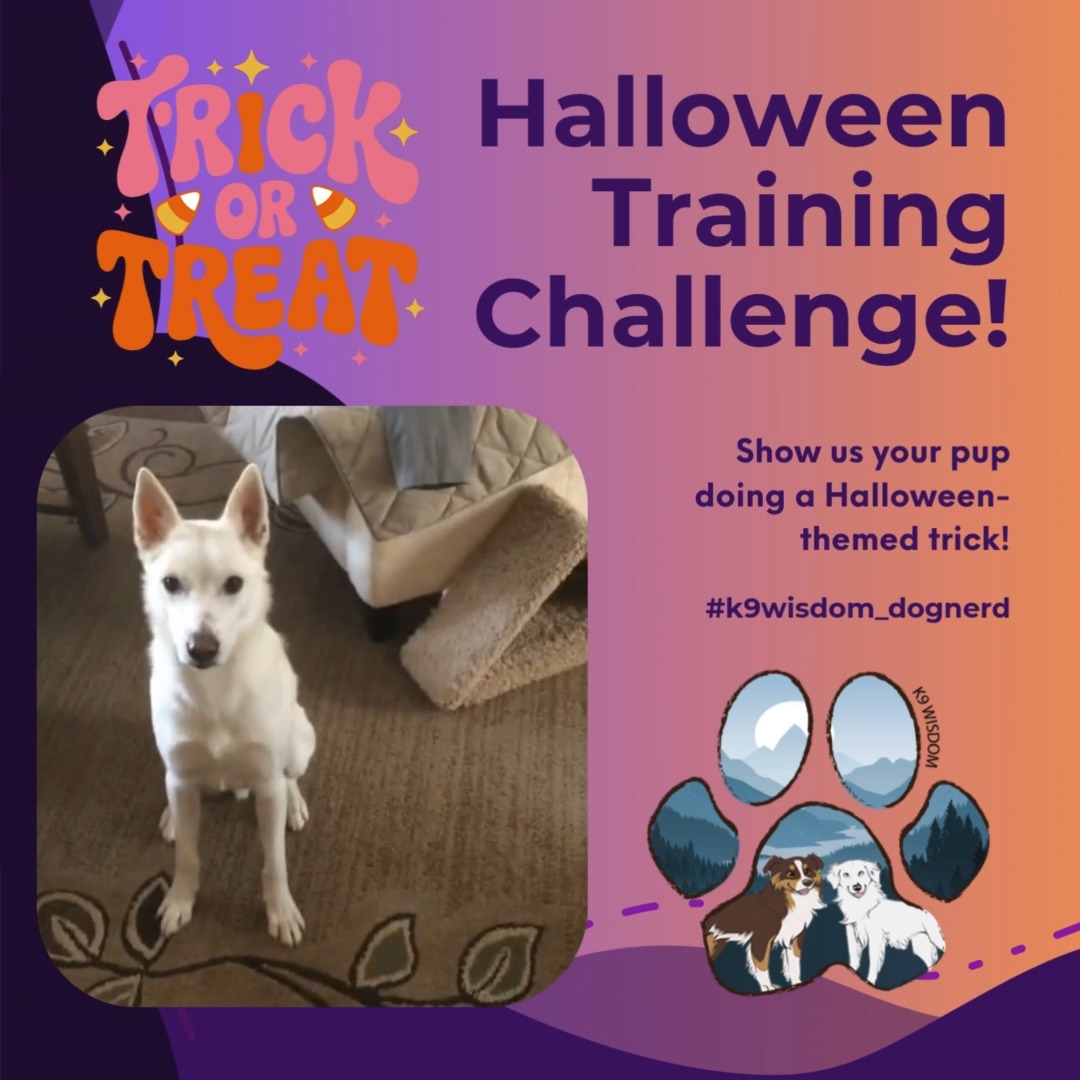 Show us your pup doing a Halloween-themed trick! Whether it's a zombie crawl, spooky spin, or "play dead," tag us at #k9wisdom_dognerd so we can share your boo-tiful tricks!