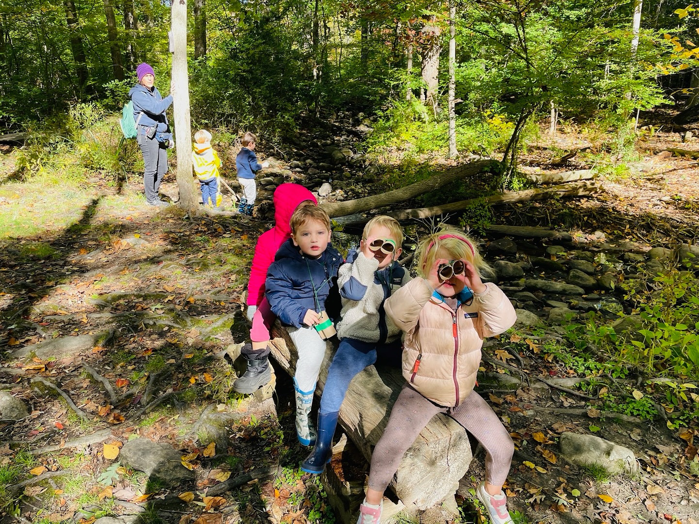 We’ve been very egg-cited to be learning about birds and seeds! #darienct #dariennaturecenter