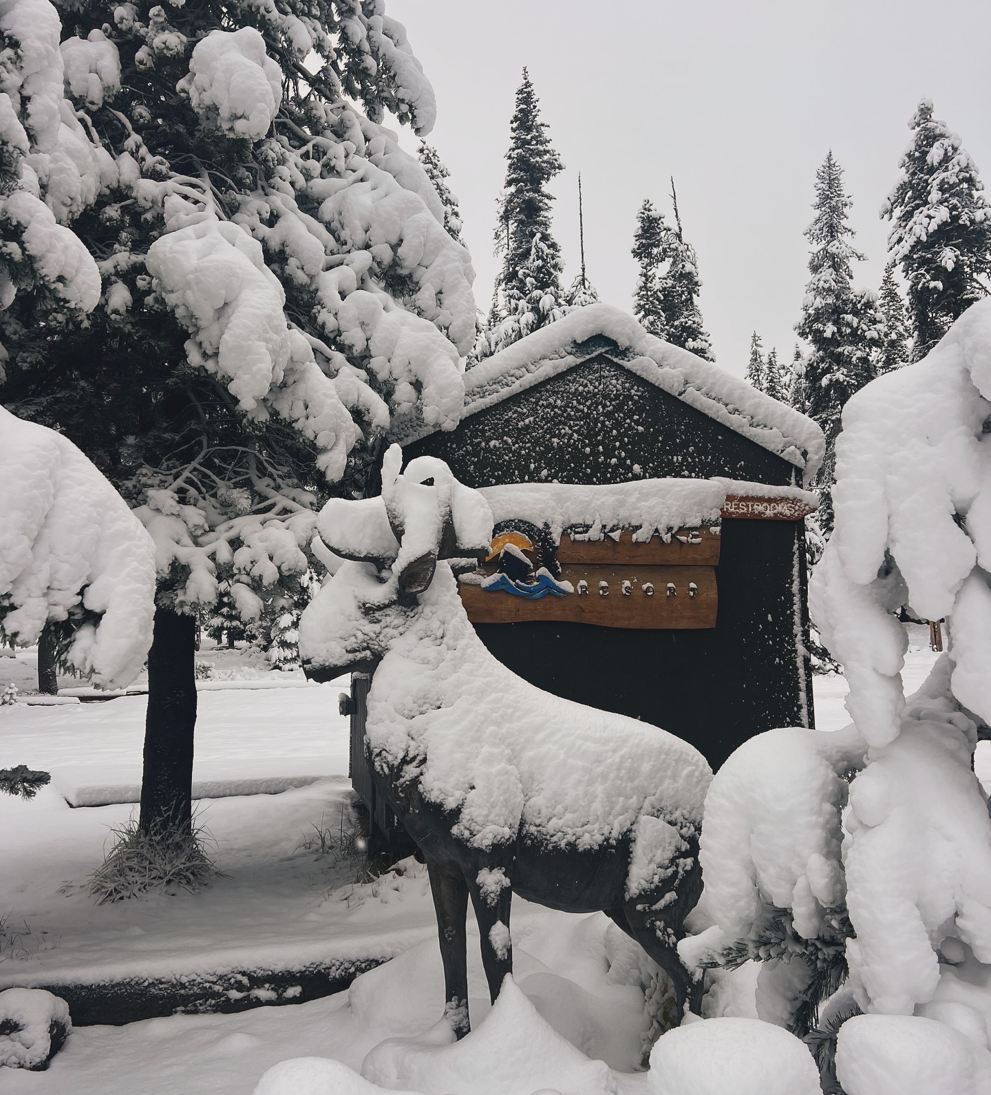 The snow has arrived, and the magic is in full swing! There’s nothing quite like winter at Elk Lake Resort.
There’s still time to secure your winter escape. Create timeless memories and begin a family tradition.
? ⛄️ ❄️
Book now at the link in our bio
?60000 Cascade Lakes Highway Bend, Oregon 97702
#winter #snow #snowdays #snowfall #winterishere #snowdayfun #stayplayunwind #elklake #elklakeresort #winterresort #winterescape #winterfun #bend #bendsnow #bendoregon #oregonexplored #oregonlife #winterretreat #pnw #pnwlife #centraloregon #centraloregonlife