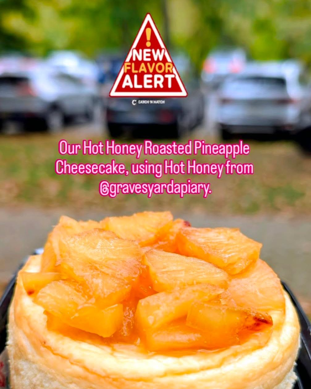 We love a collab between our entrepreneurs! 🥮🍯
Check out the new Hot Honey Roasted Pineapple Cheesecake from @CherrysBakingCo., which uses the Hot Honey by @GravesyardApiary!
Follow their pages to learn how to scoop up your own cheesecake + honey!
#CulinaryEntrepreneurs #WilmingtonDE