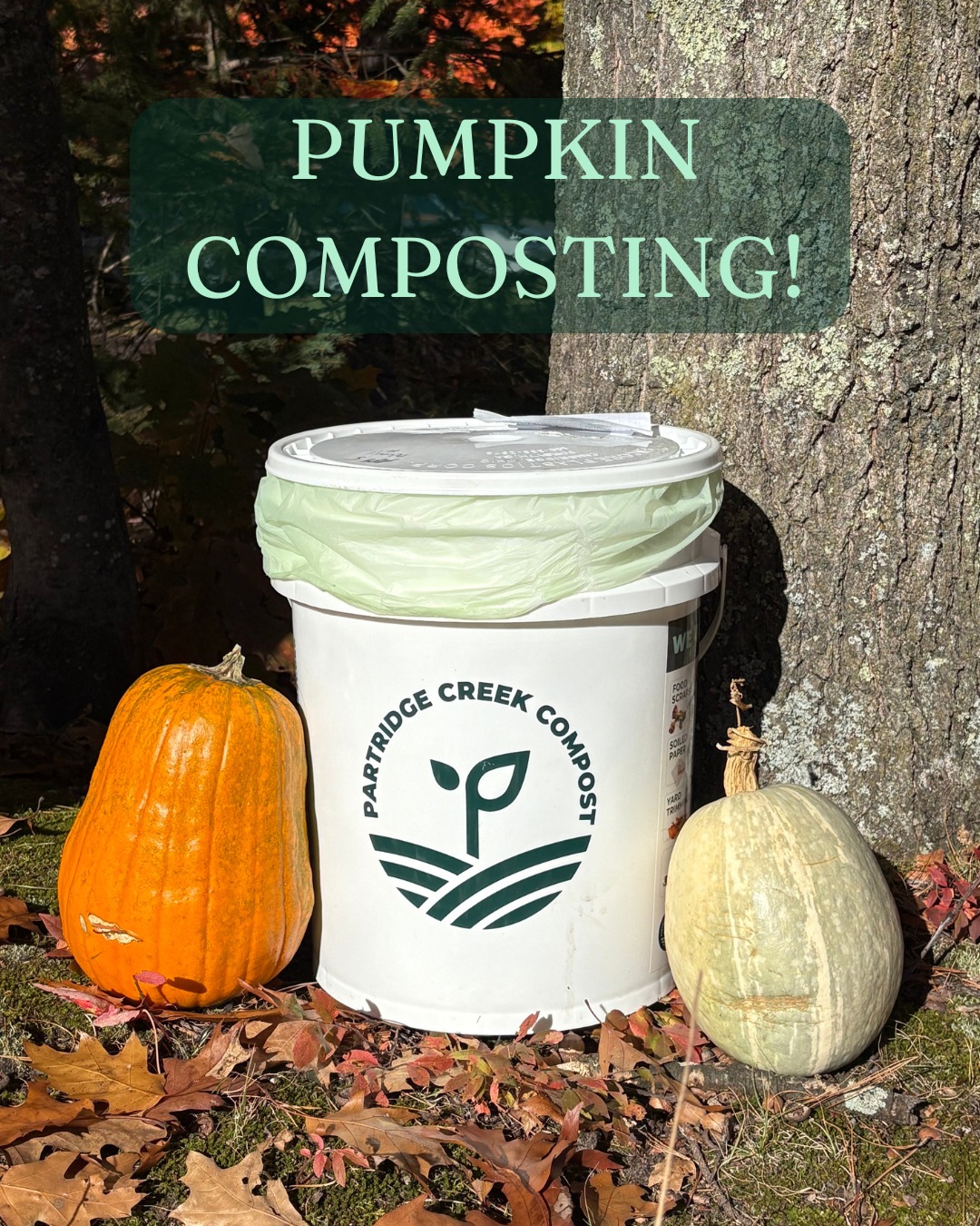 Halloween is almost here... and you know what that means. Pumpkins galore! Don’t let those jack-o’-lanterns and decorative gourds go to waste. Give them a second life by sending them to our compost pile, where they’ll break down into nutrient-rich soil for the community.
Partridge Creek Compost will gladly accept pumpkins with your curbside bucket. If your pumpkin doesn’t fit inside, simply place it next to your bucket. We’ll take care of the rest!
Happy Halloween and happy composting!