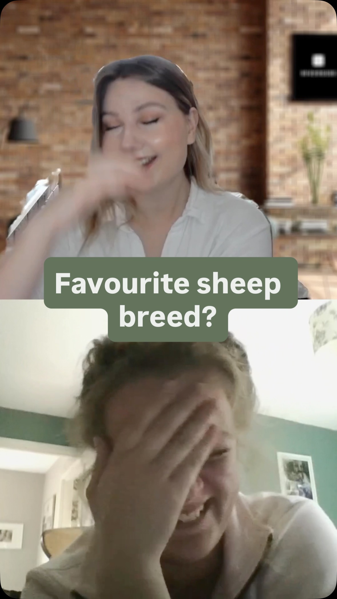 I promised Annie I’d post this one 🫣😂
Do you have a favourite breed of sheep? 🐑
#sheep #farming #farmlife