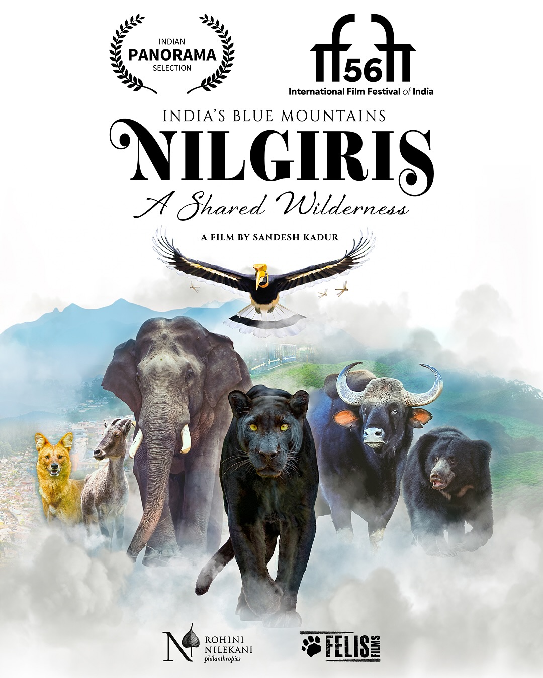 It is with great pleasure we share that Nilgiris – A Shared Wilderness has been selected for the Indian Panorama at the 56th International Film Festival of India, Goa.
This recognition is a true honour and a milestone for our team at Felis. We are deeply grateful for your continued support, encouragement, and belief in our mission to tell stories of conservation and coexistence.
We extend our sincere gratitude to @rohini.nilekani @rnp_foundation for their steadfast support and partnership. Their continued faith in our work has been instrumental in bringing Nilgiris – A Shared Wilderness to this milestone.
Thank you for being part of this journey and helping our film reach hearts and homes across the blue mountains and beyond.
— Team Felis
#TheNilgiris #BiosphereReserve #IndiasBlueMountains #FelisCreations #FelisFilms #SandeshKadur #RohiniNilekaniPhilanthropies
#FilmFestival #iffigoa #FilmFestival #ConservationCinema #FelisCreations