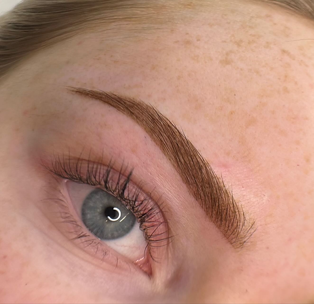 ✨Crisp, soft fronts, symmetrical OMBRE✨
Brows are perfected over 2 appointments, and fade/ soften once healed. Ready for a glow up? bookings now open for JAN/ FEB ✨
#ombrébrows #invercargillnz #browspecialist #mistbrows #browtattooing #nzbrowartist