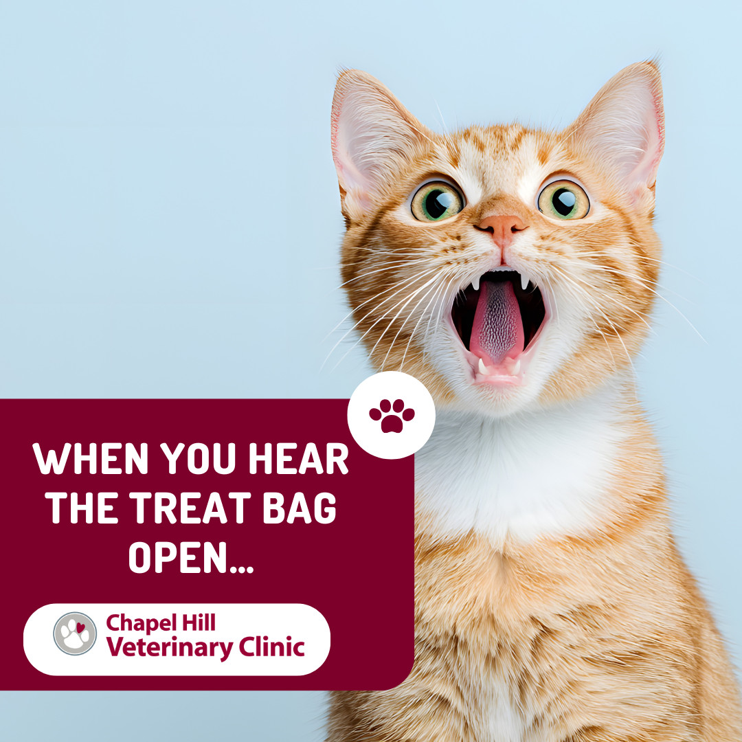 The universal call: crinkle, crinkle ๐๐