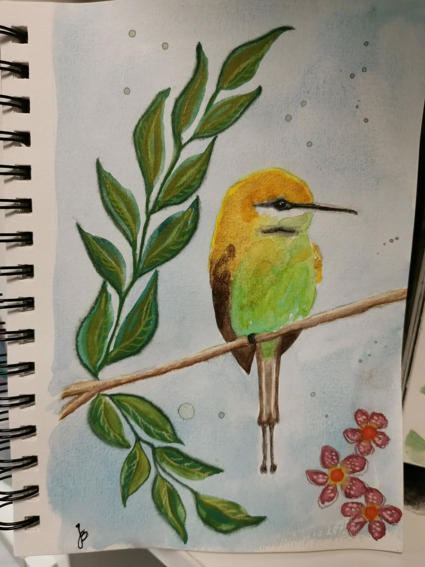 Australian bee-eater birds abound!
#ilovebirds #bird #birdartist #birdart #birddrawing #birdpainting #birdillustration #birdnerd #birbs