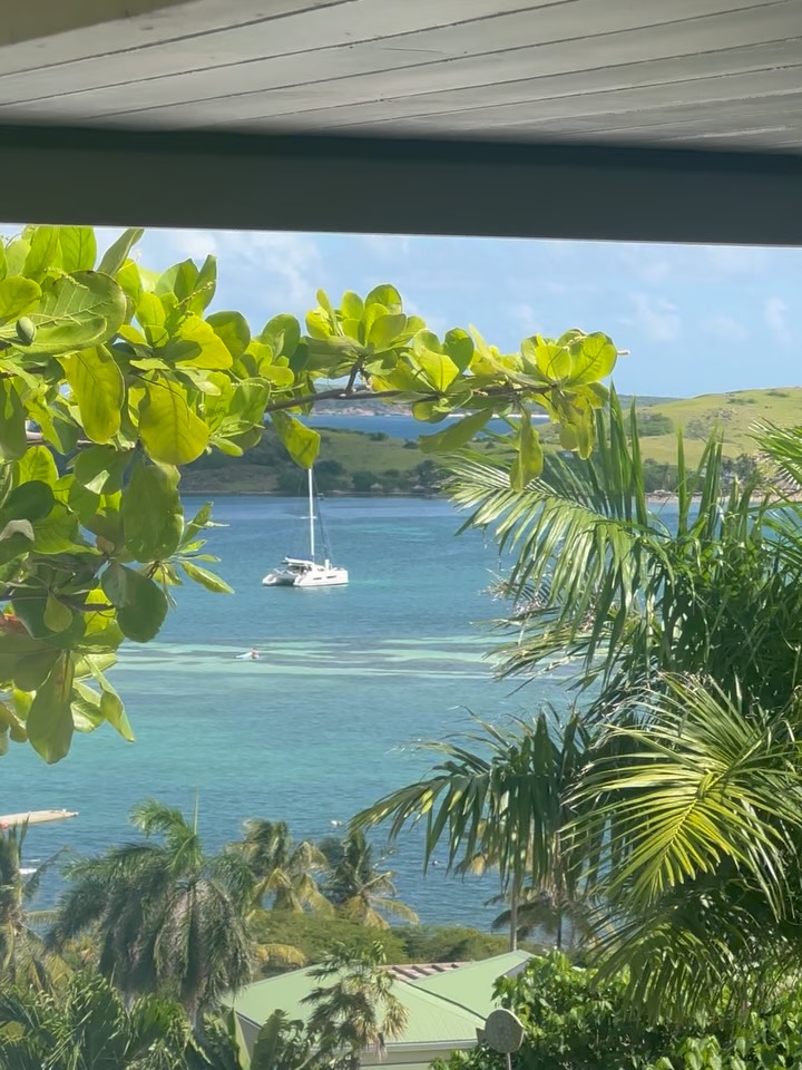 Happy Saint Martin’s Day! ??
To all who call this island home, and to those lucky enough to wander its shores - May today remind you how special Saint Martin / Sint Maarten truly is ☀️
Vibrant, welcoming and endlessly beautiful.
#saintmartinday #sintmaarten #islandlove #caribbean #islandlife #beautifuldestinations #discover #voyagevoyage #landscape #sunset #enjoy #beach