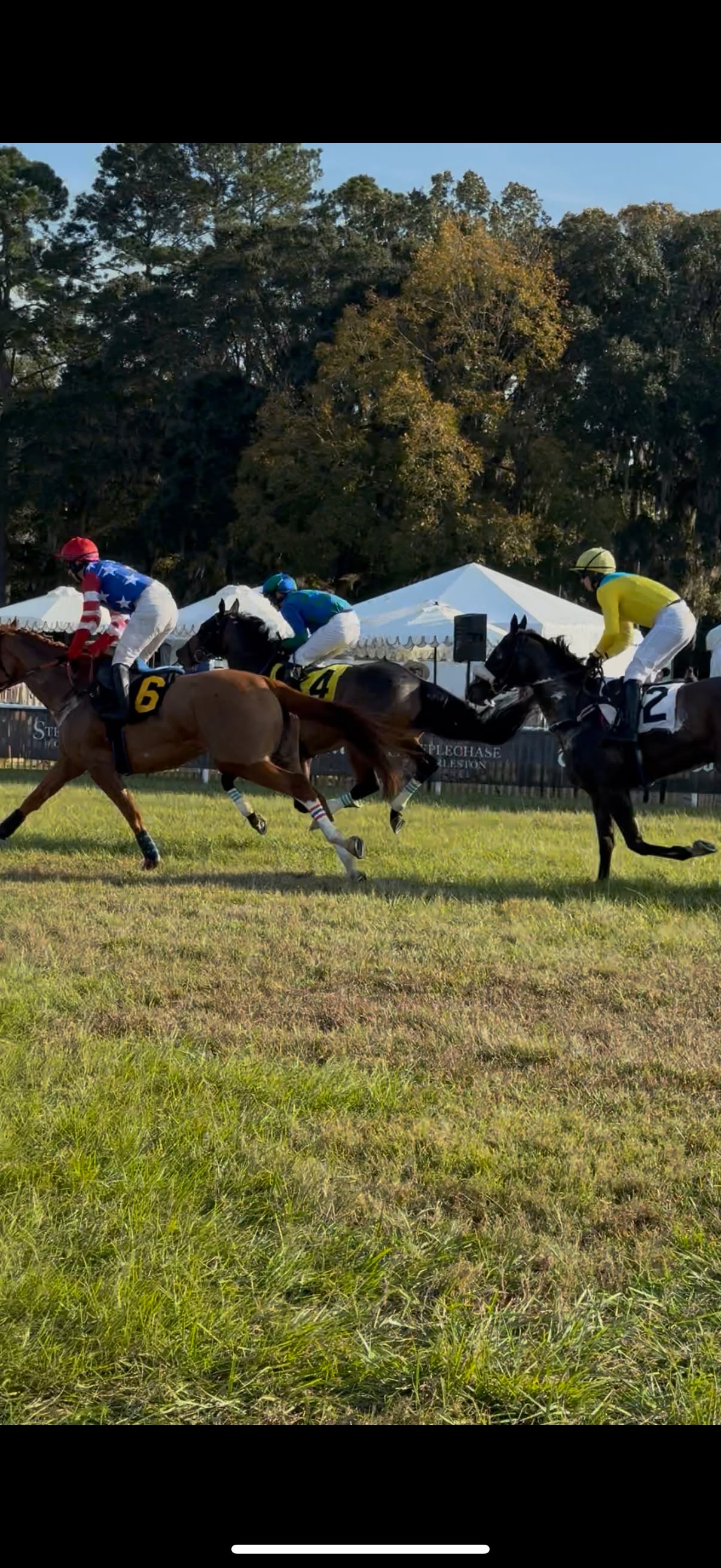 M&M Steeple Chase 2025??? @steeplechaseofcharleston