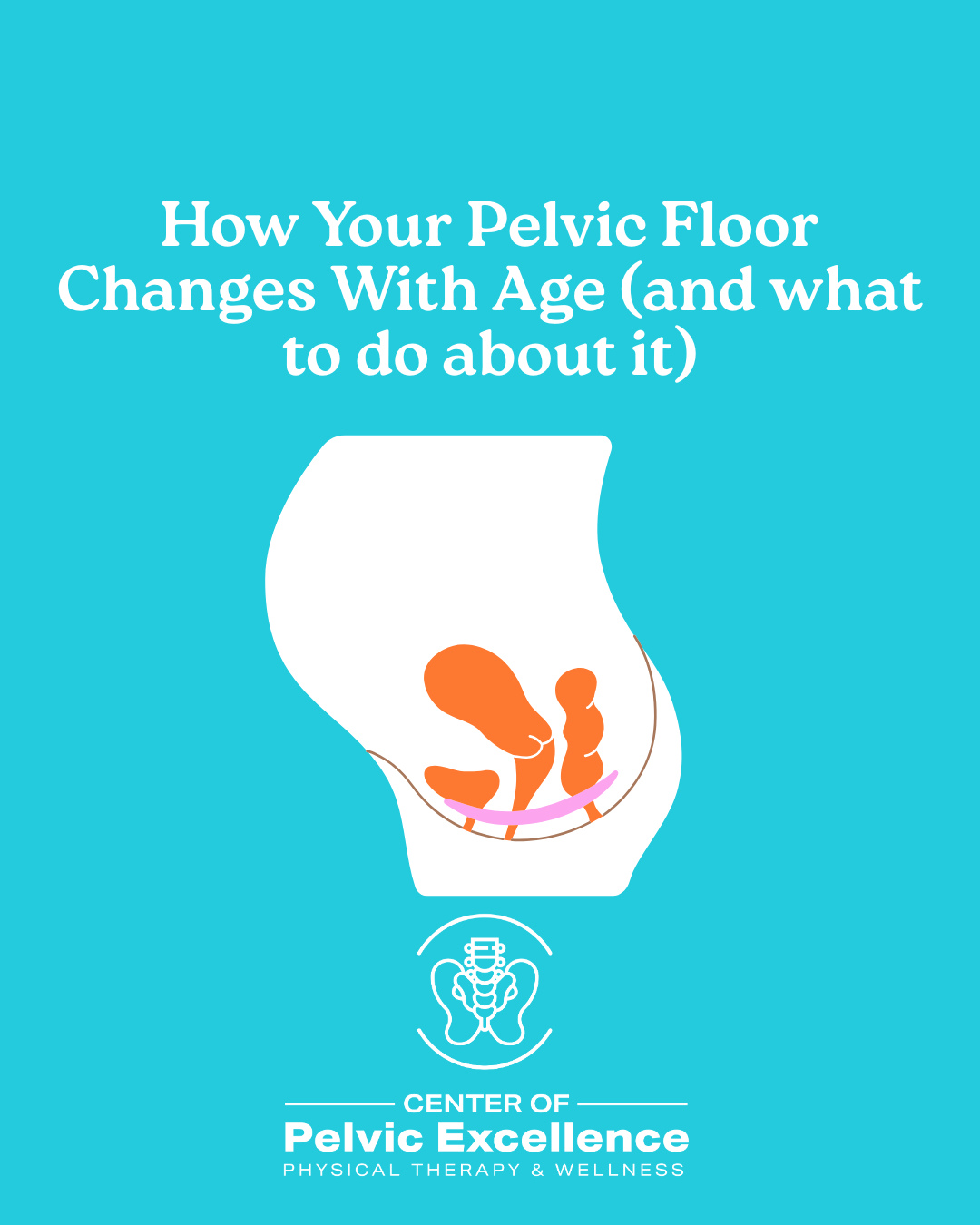 Aging doesn’t mean giving up control — it means understanding how your pelvic floor changes over time. 💗
From your 20s through post-menopause, your pelvic floor experiences shifts in strength, flexibility, and tissue support. These changes can lead to:
Leaks or urgency
Pelvic pressure or heaviness
Low back or hip pain
Discomfort during intimacy
The good news? With early awareness and targeted pelvic floor therapy, you can maintain function, comfort, and confidence at every stage of life.
Whether you’re noticing subtle changes or have persistent symptoms, it’s never too late to start. Your body will thank you. 🙌🏽
--------------
COPE Physical Therapy
📍 Dallas: 12700 Hillcrest Rd., Ste 149, Dallas, TX 75246
📍 McKinney: 3900 S Stonebridge Dr Suite 1201, McKinney, TX 75070
📞 (817) 381-5110 | (817) 381-5177