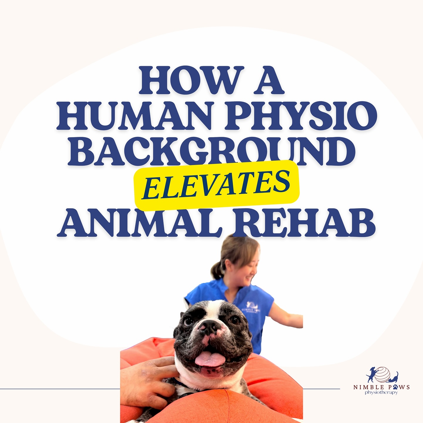 Human physio training offers a depth of movement understanding that directly elevates animal rehabilitation.
From clinical reasoning to structured assessment, these principles help us deliver clearer, safer, and more effective rehab for dogs and cats.
🐈⬛ 🐕 Movement works — when applied with intention.
Read more on The NIMBLE Edit <🔗 link in bio>!
#nimblepaws #caninerehab #physio #physiolife #petrehab #movementmatters
