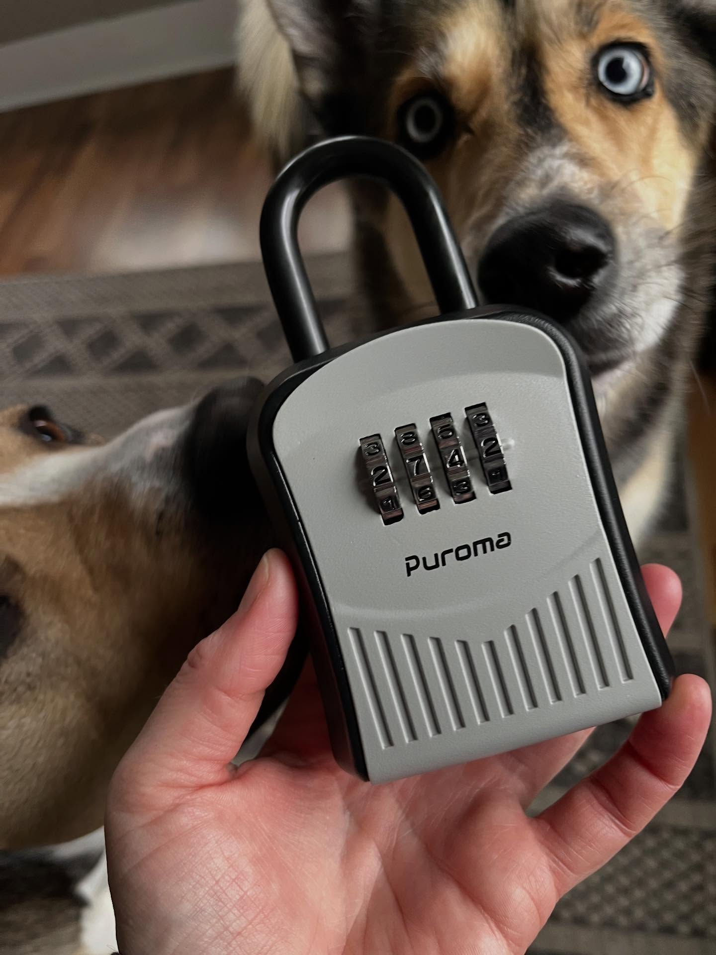 The Dog’s Pajamas is going keyless in 2026! Curious what this means for you? Fetch the details in our latest blog post.
https://www.thedogspajamas.com/post/going-keyless-in-2026