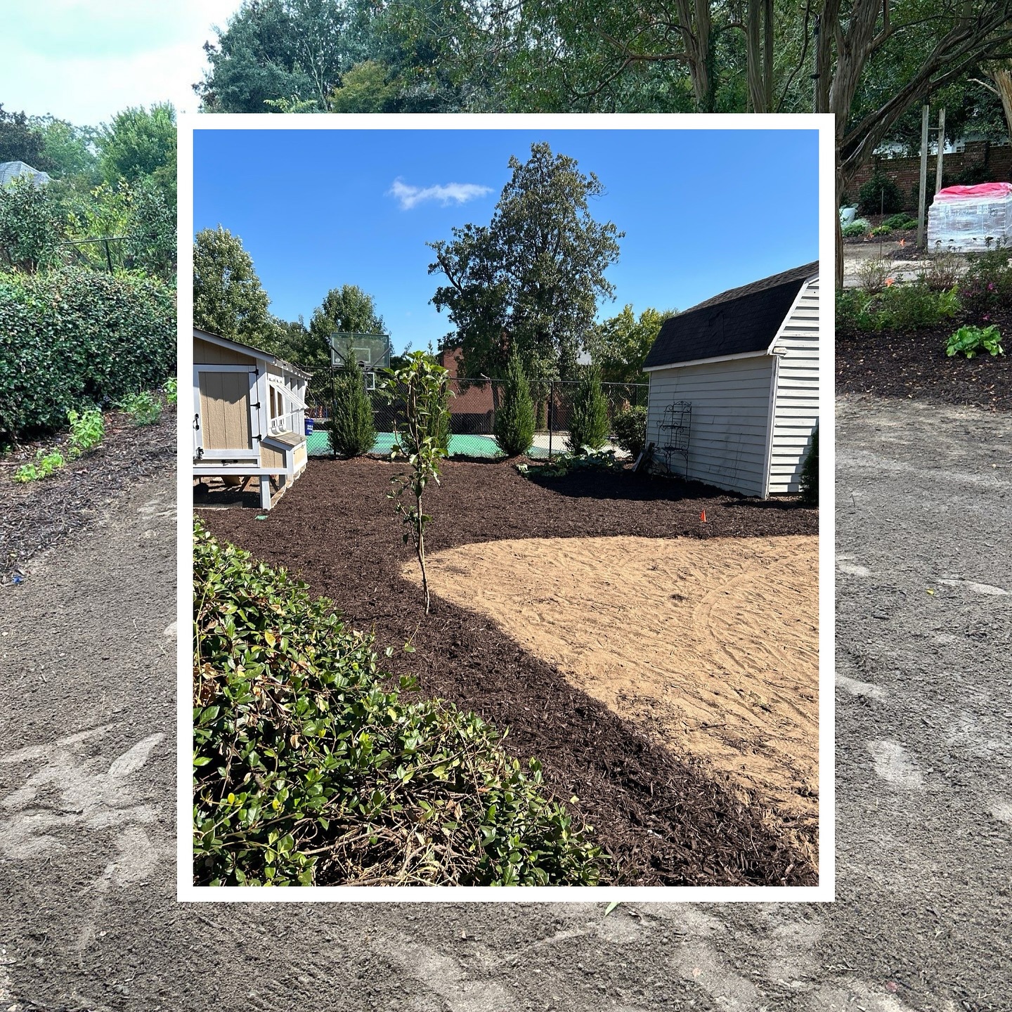 A question we get asked a lot is, “Is that something y’all can do?” And our answer, 99.999% of the time, is, “Absolutely!” Want a freestanding Orangery-inspired glasshouse as part of your yard makeover? Absolutely! Stay tuned for the final pics of this stunning transformation.
#residentiallandscaping #glasshouse #Orangery #Augusta #JacobsLandManagement