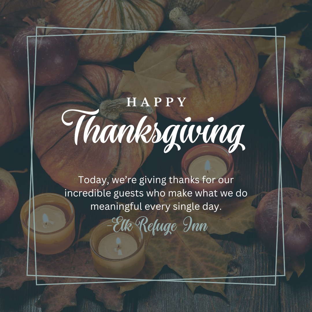 Happy Thanksgiving from all of us at Elk Refuge Inn!
Today, we’re extra grateful for the wonderful guests who choose to stay with us year after year. Your kindness, your stories, and your support mean the world to our small team here in Jackson Hole.
Whether you're near or far, we hope your day is filled with warmth, good company, and moments that feel like home. If your holiday travels bring you our way, we’d be honored to welcome you with comfort, hospitality, and beautiful views across the National Elk Refuge.
Wishing you a cozy and memorable Thanksgiving!
#ElkRefugeInn #Thanksgiving2025 #GratefulHeart #JacksonHoleLodging #ThankfulForYou #WyomingGetaway #HolidayTravel #StayInJacksonHole